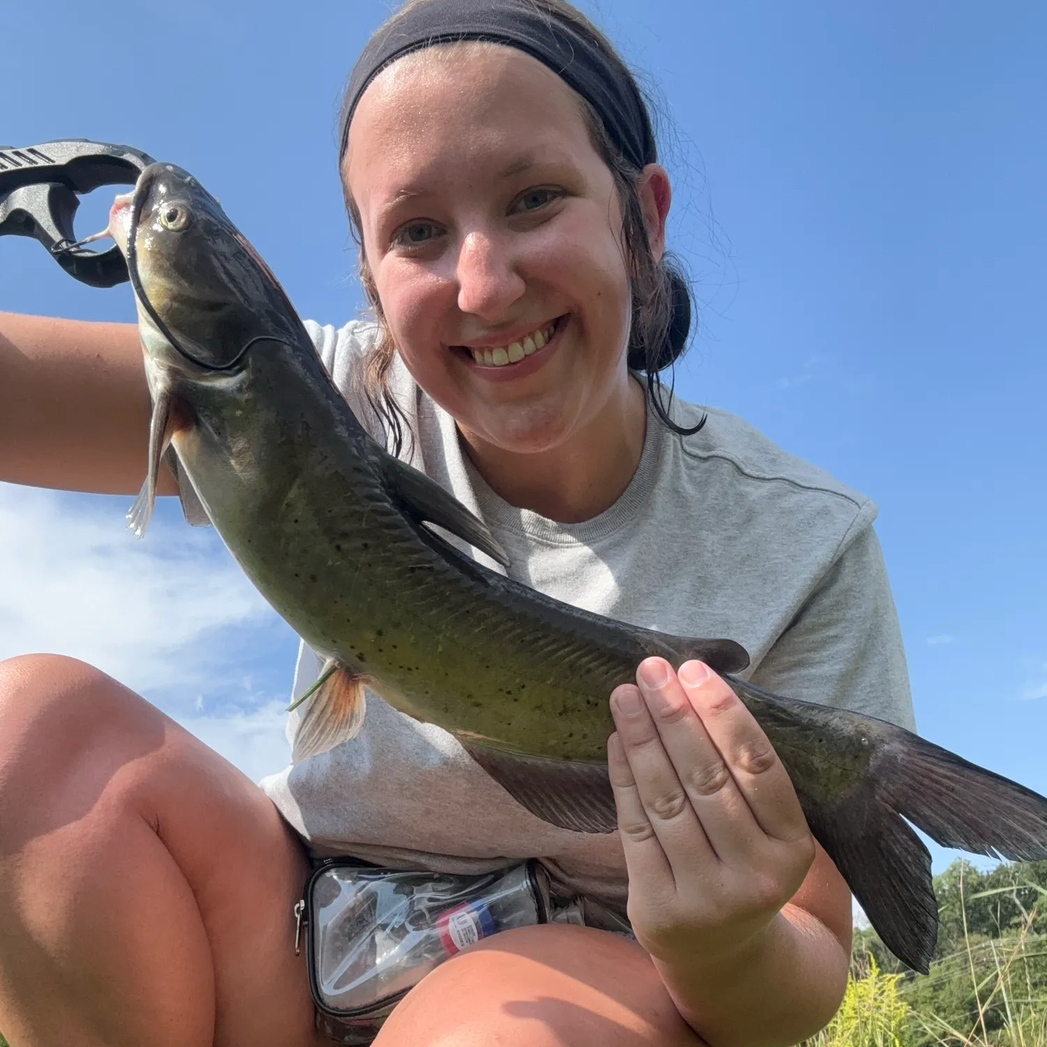 Channel catfish caught on Fishbrain