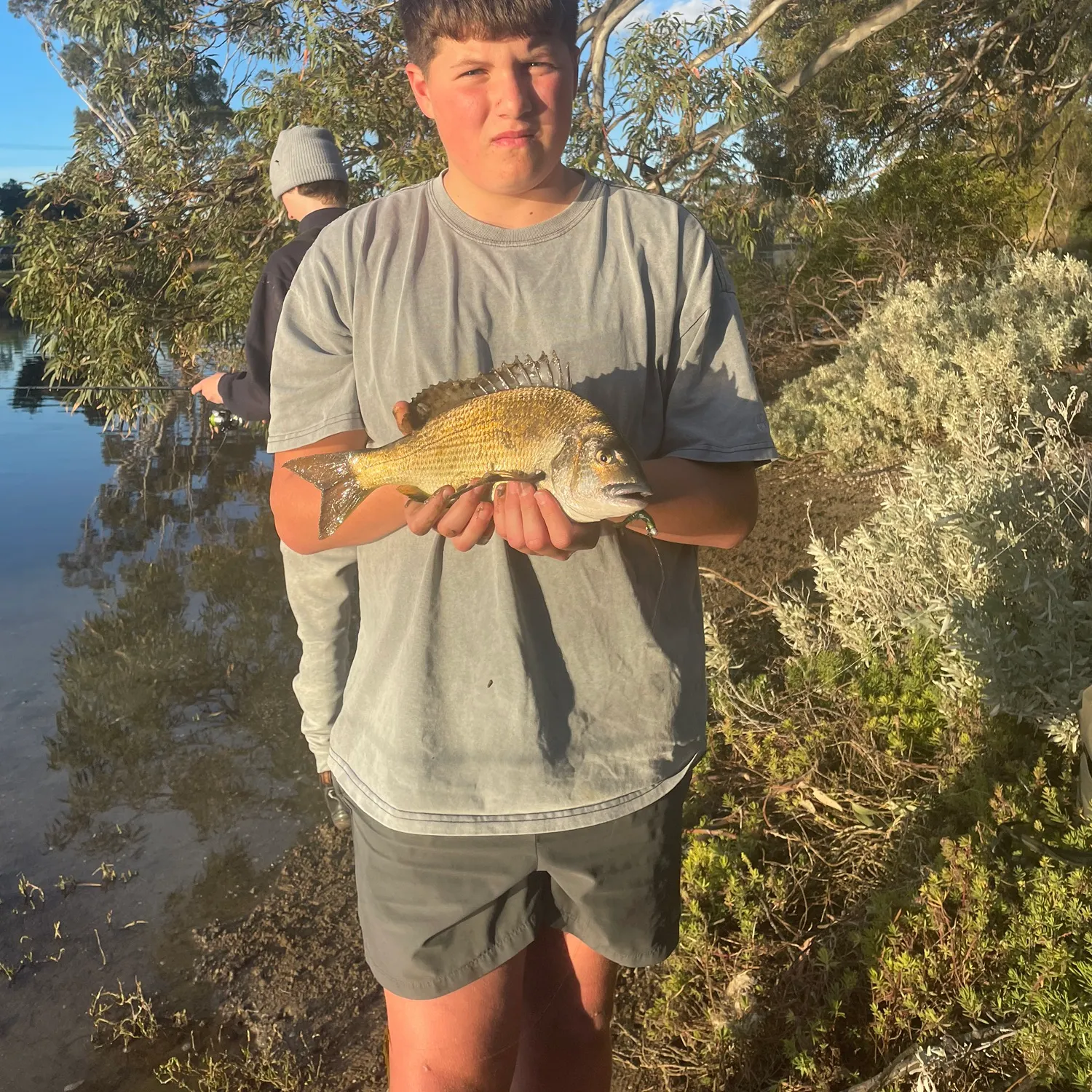 Southern black bream caught on Fishbrain