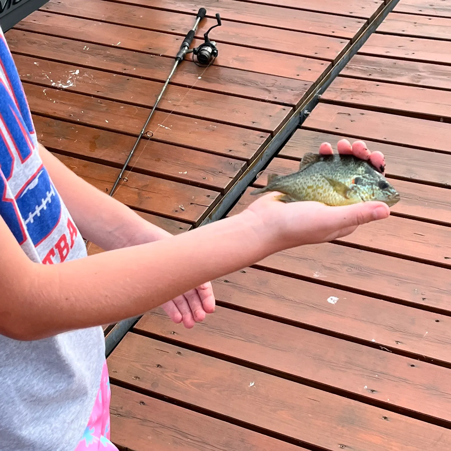 The most recent Pumpkingill hybrid catches on Fishbrain