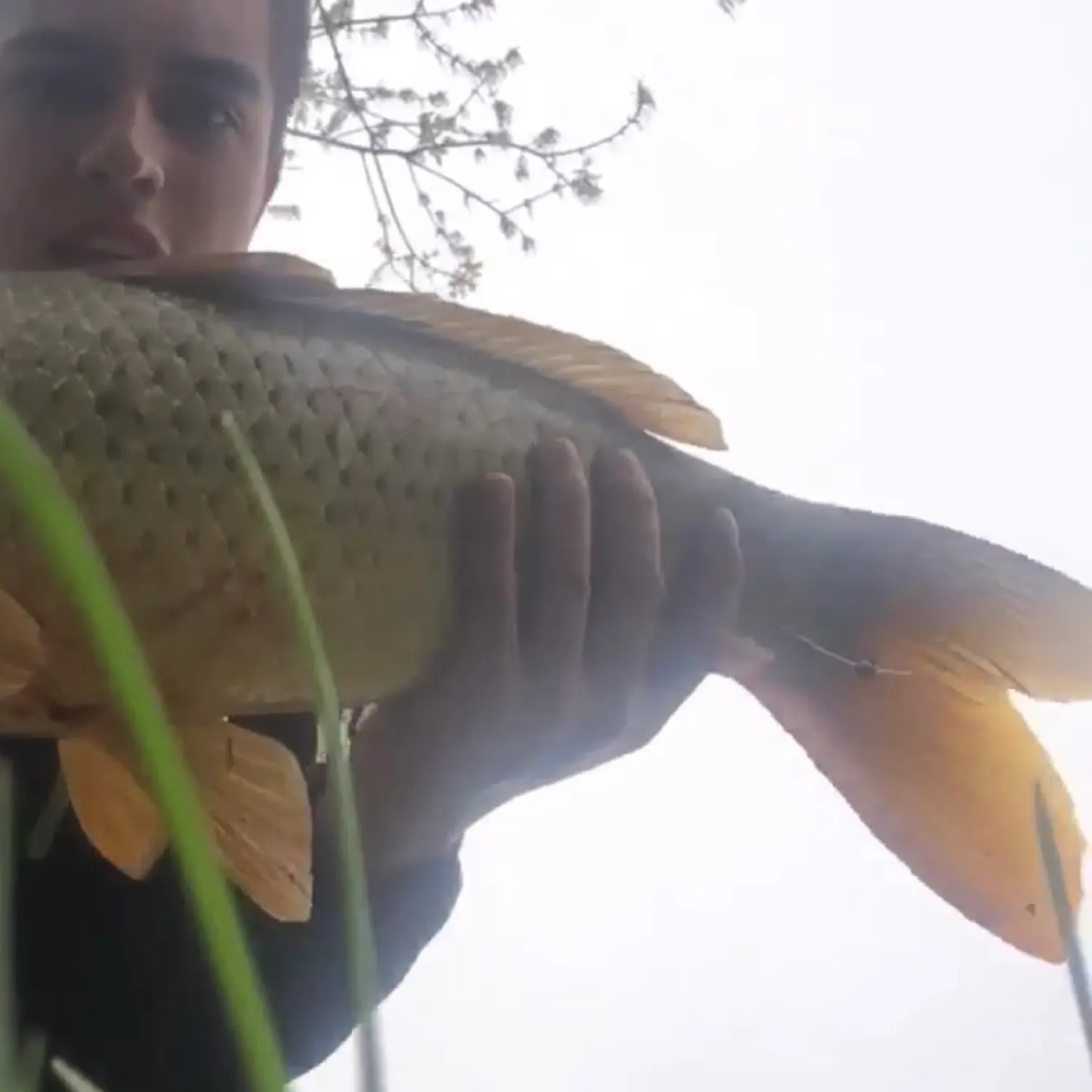 most liked catch image
