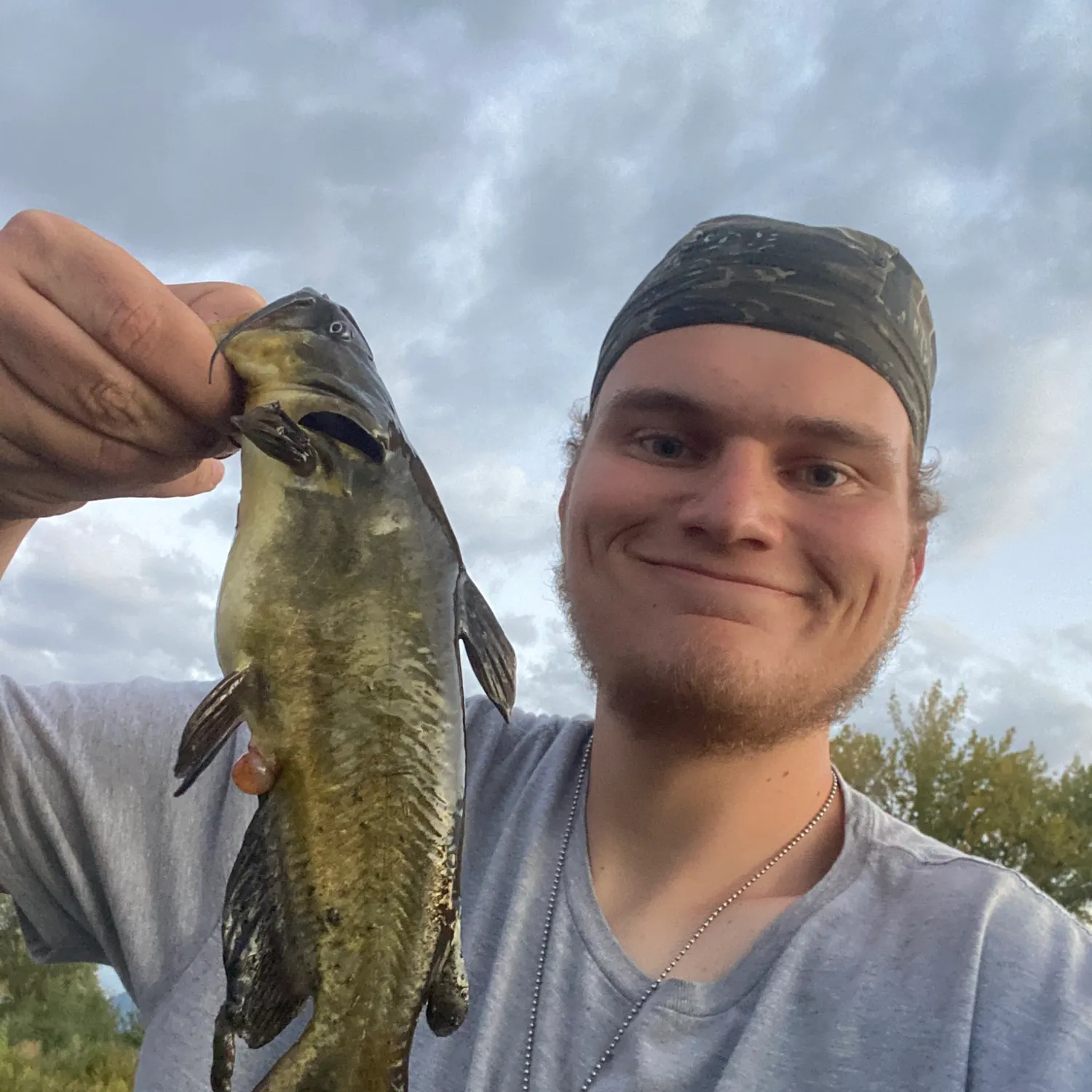 Black bullhead caught on Fishbrain