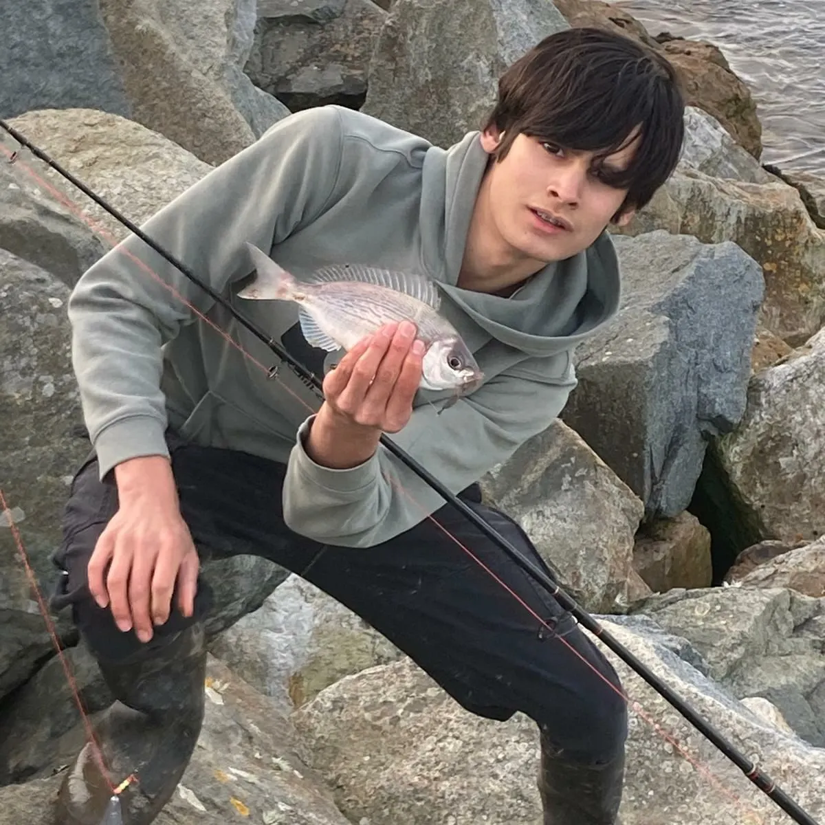 The most recent Black seabream catches on Fishbrain