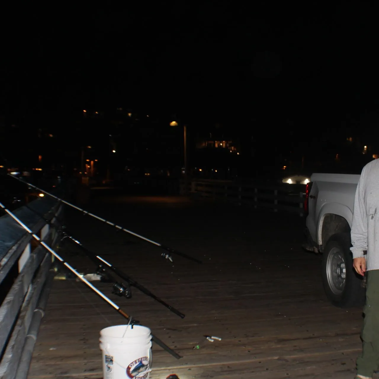 The most recent Thornback guitarfish catches on Fishbrain