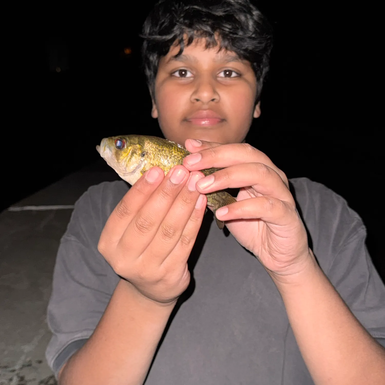 Rock bass caught on Fishbrain