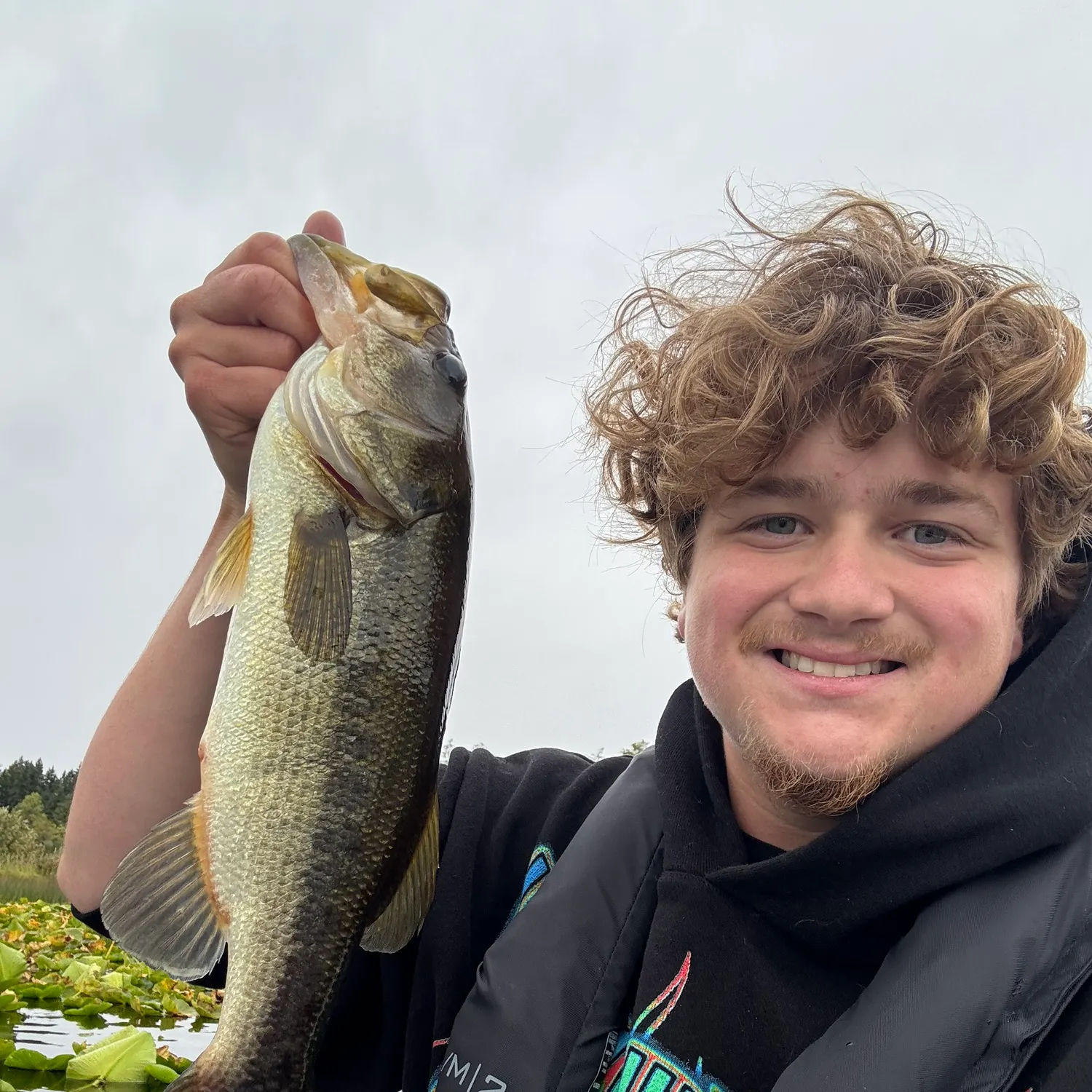 Largemouth bass caught on Fishbrain
