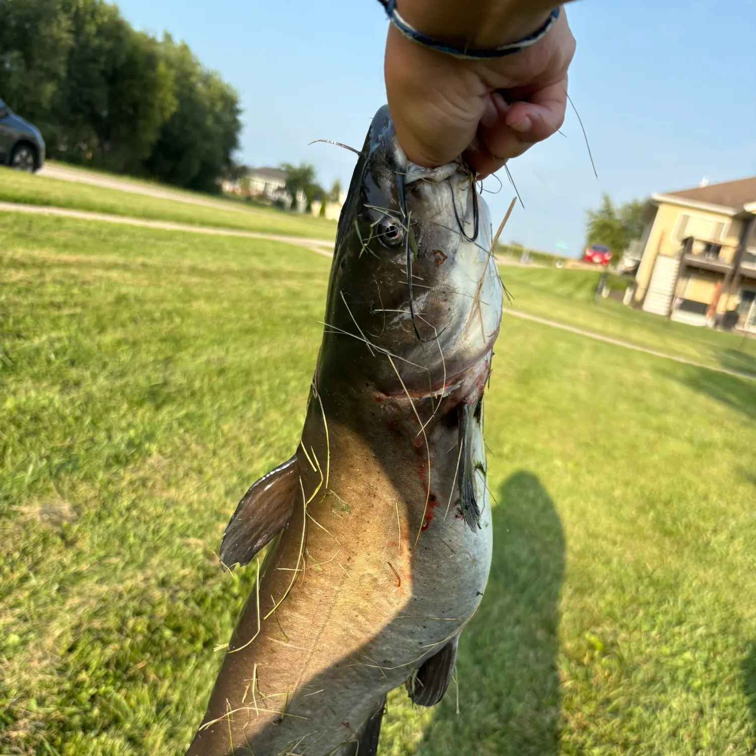 catch