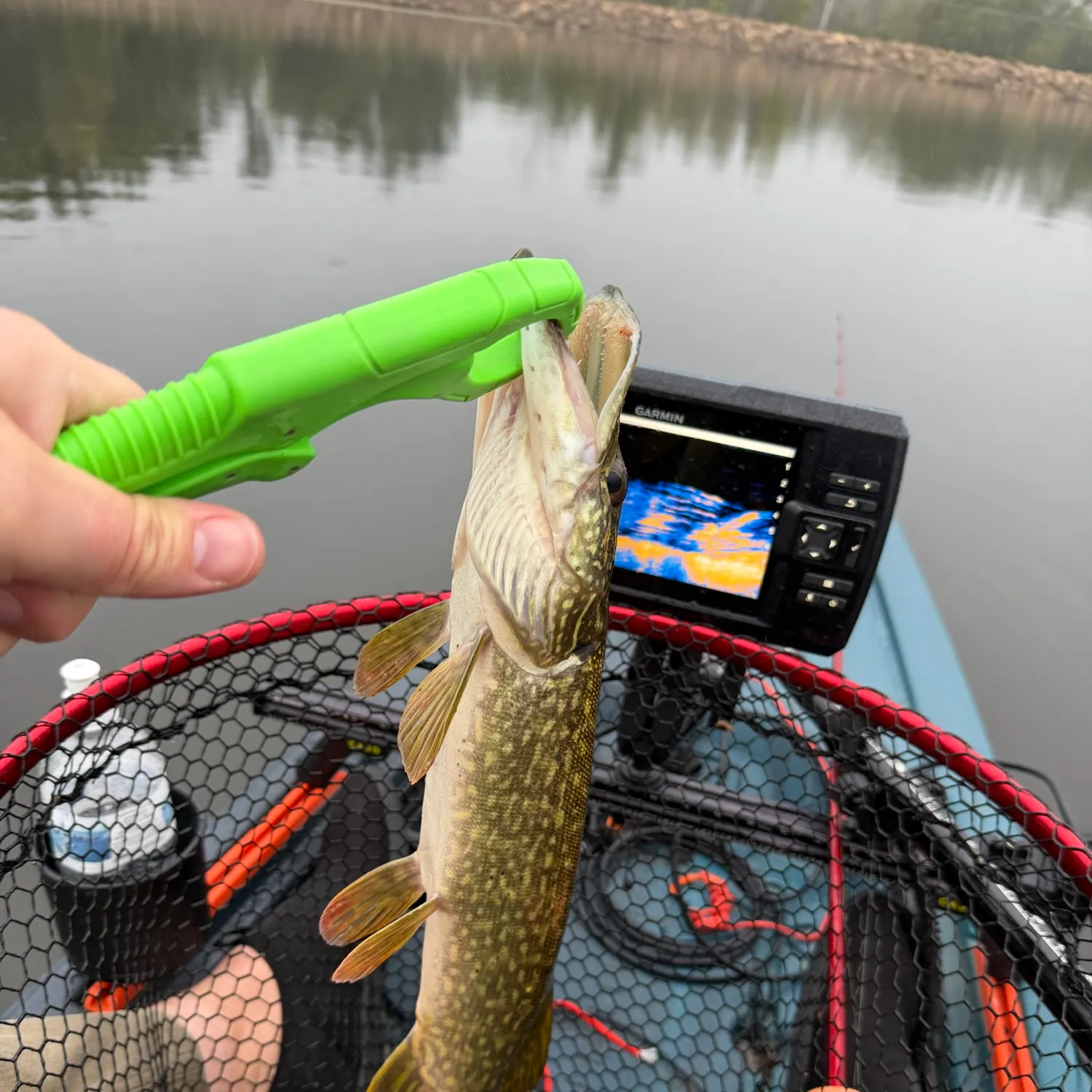Northern pike caught on Fishbrain