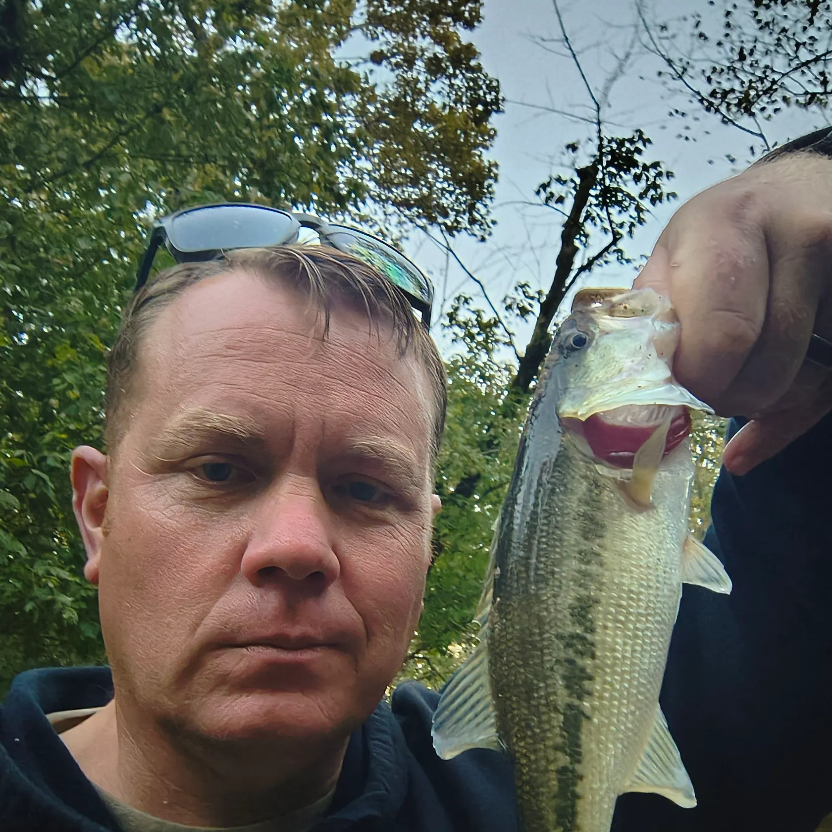 Alabama bass caught on Fishbrain