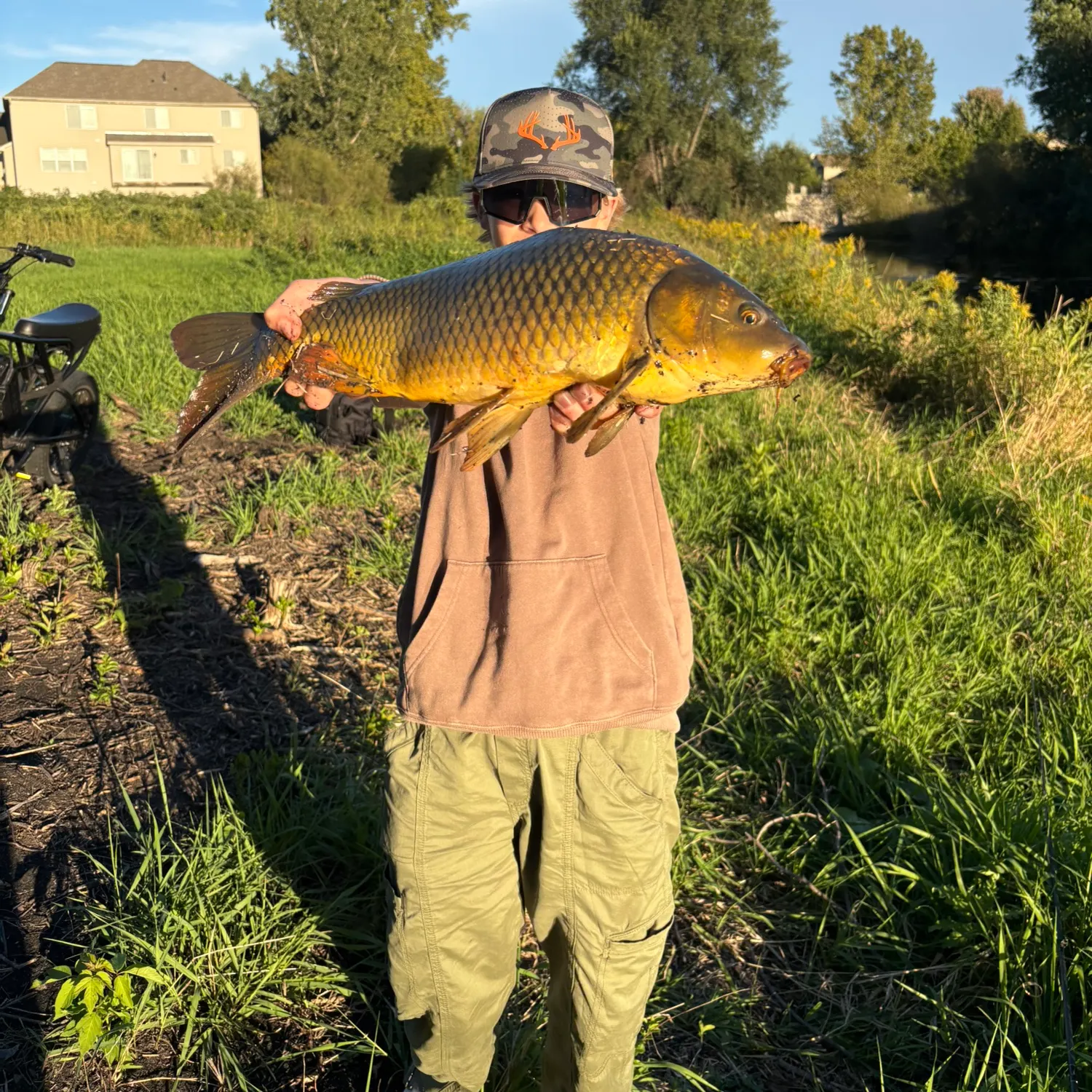 Common carp caught on Fishbrain