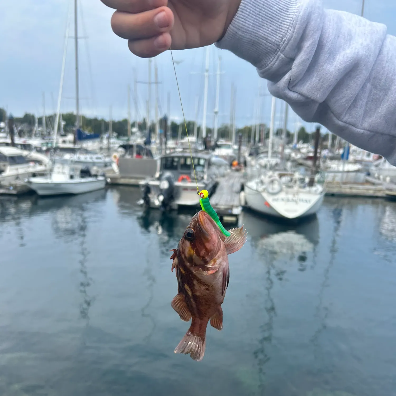 catch