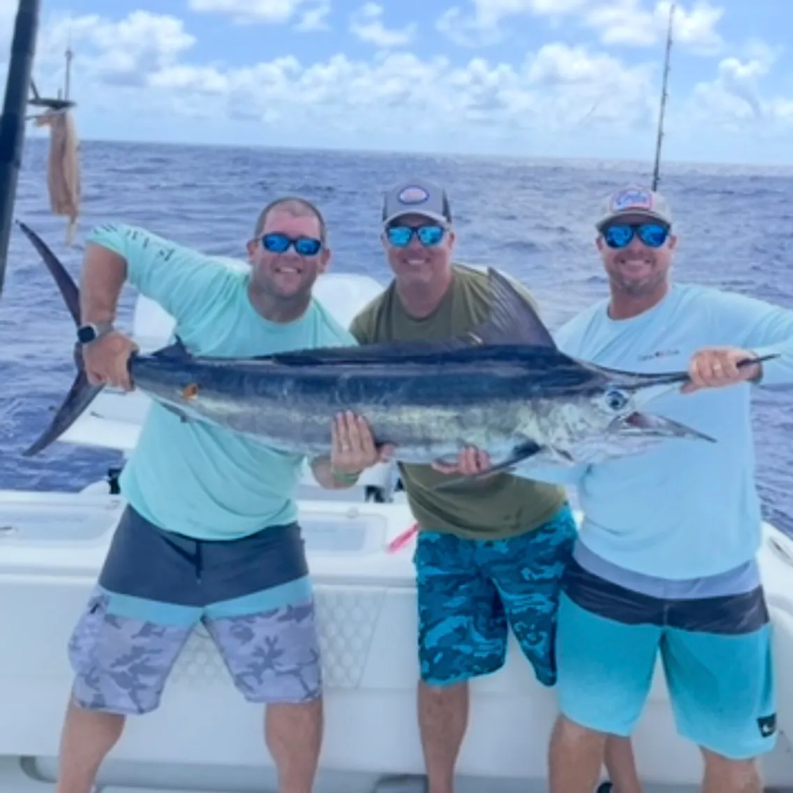 The most recent Indo-Pacific blue marlin catches on Fishbrain