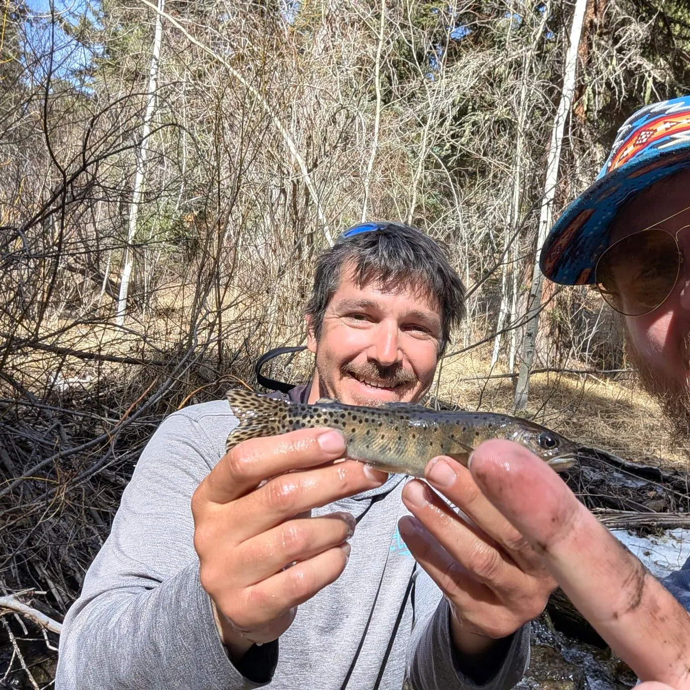 The most recent Rio Grande cutthroat trout catches on Fishbrain