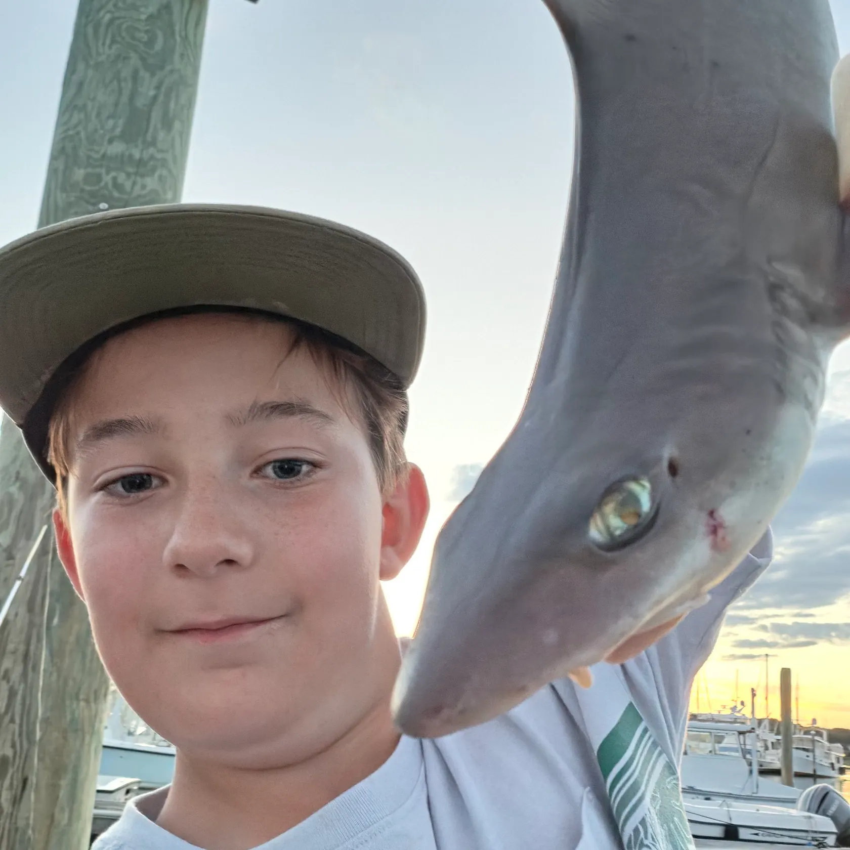 Dusky smooth-hound caught on Fishbrain