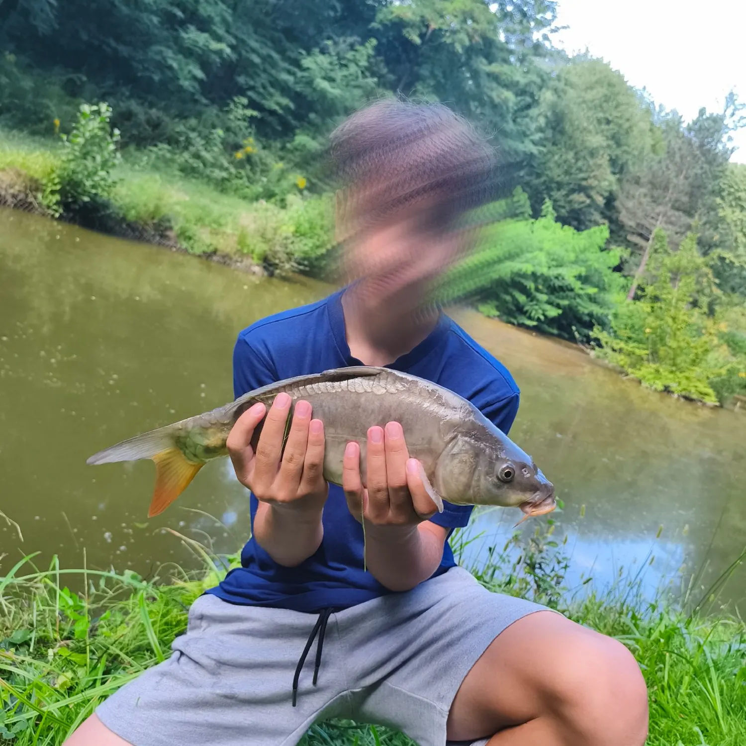 Leather carp caught on Fishbrain