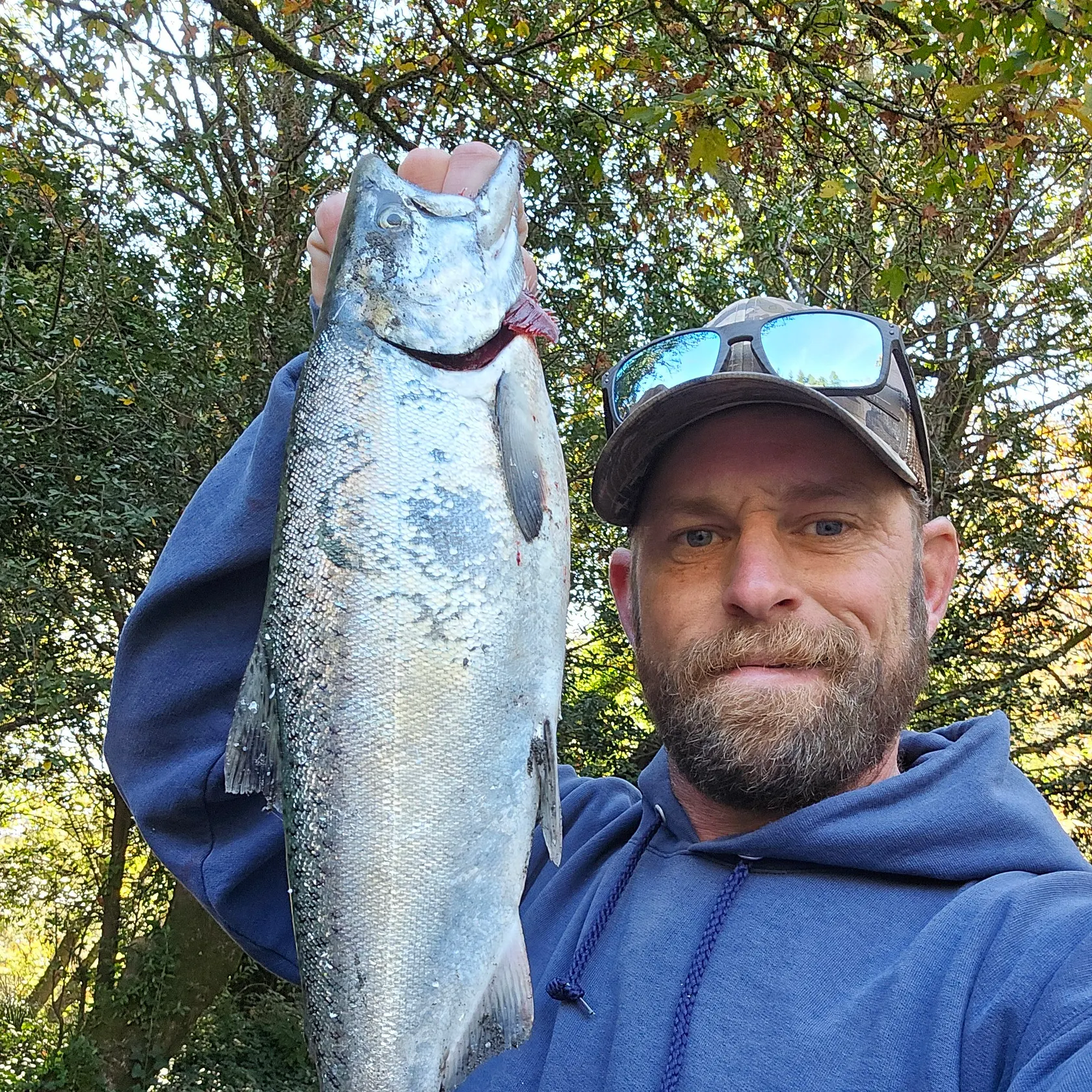 Chinook salmon caught on Fishbrain