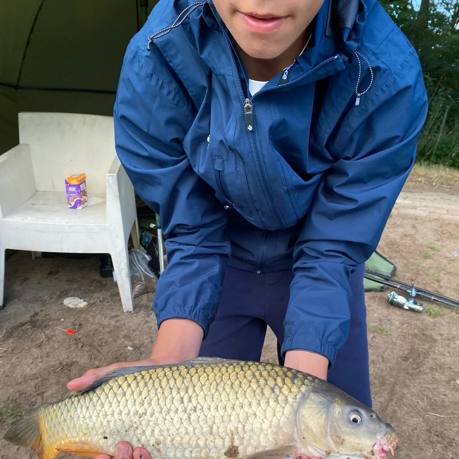 Common carp caught on Fishbrain