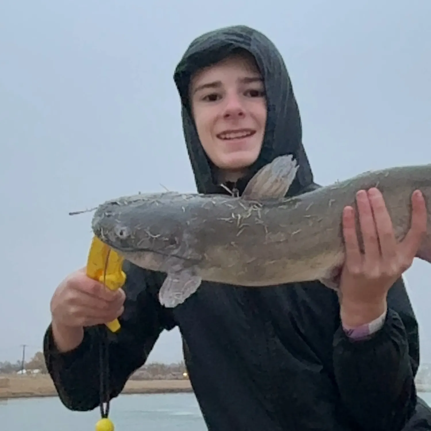 The most recent Channel catfish catches on Fishbrain