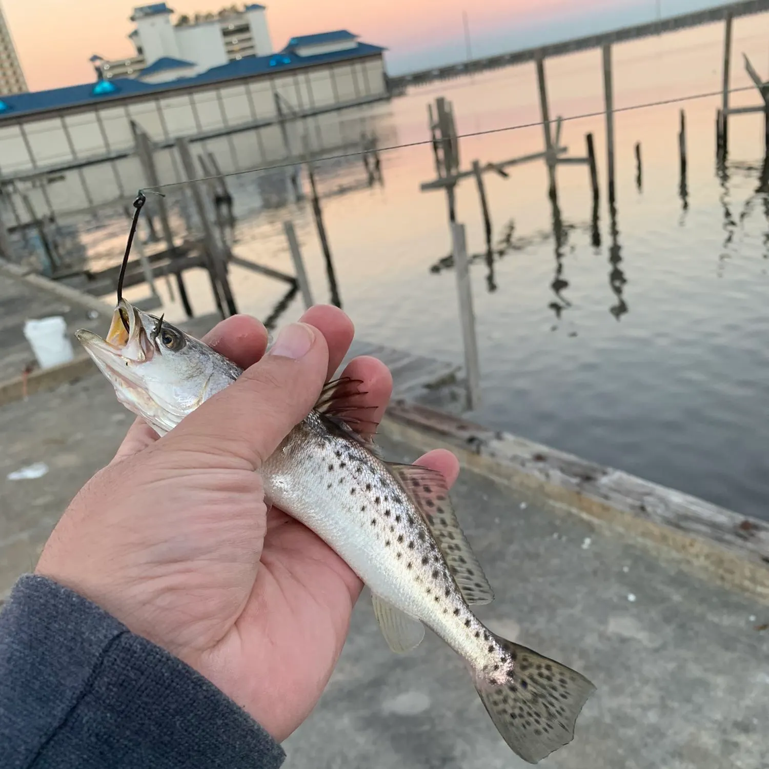 angler catch
