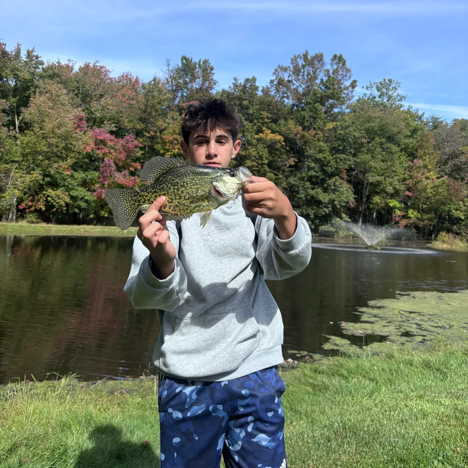 Black crappie caught on Fishbrain