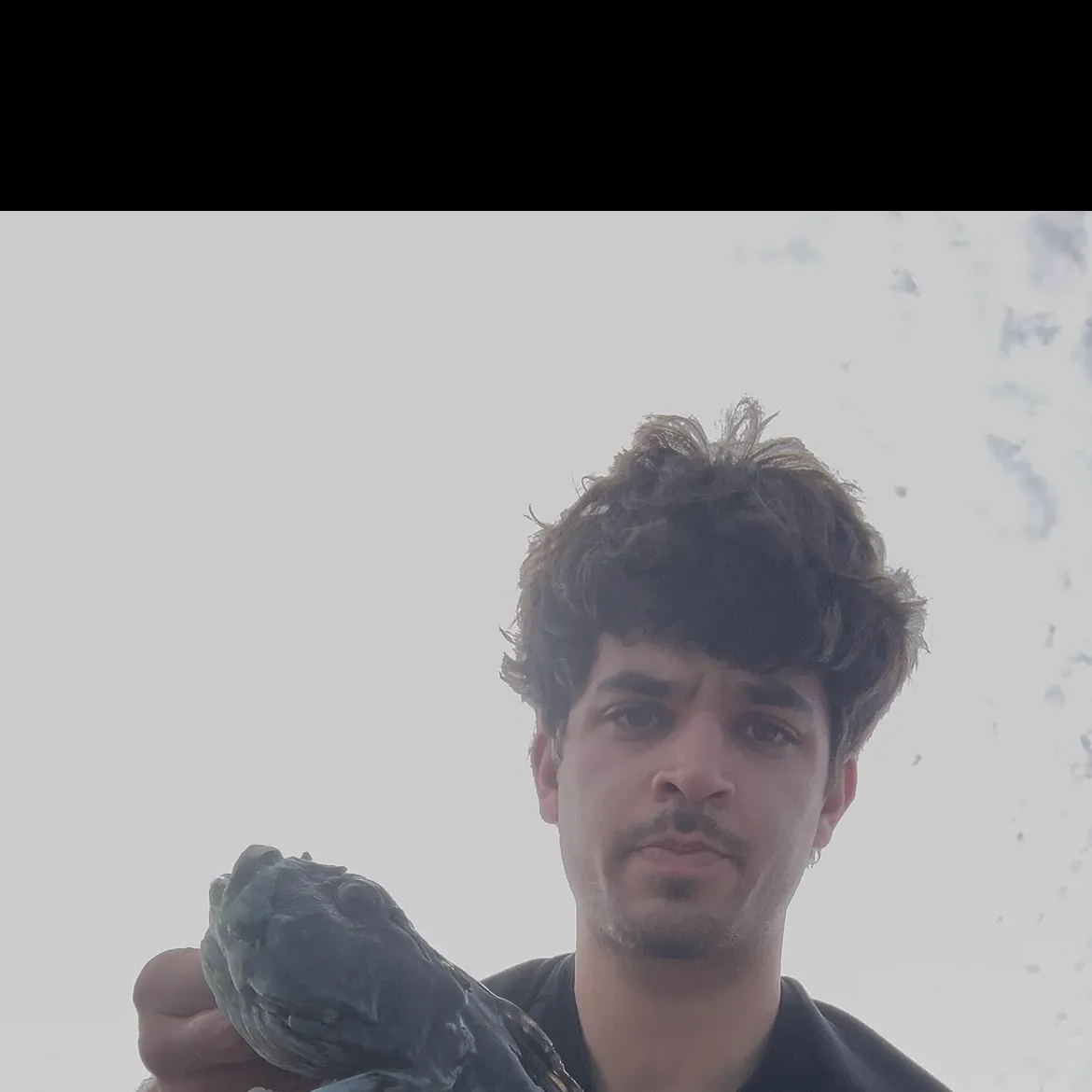 The most recent Cabezon catches on Fishbrain