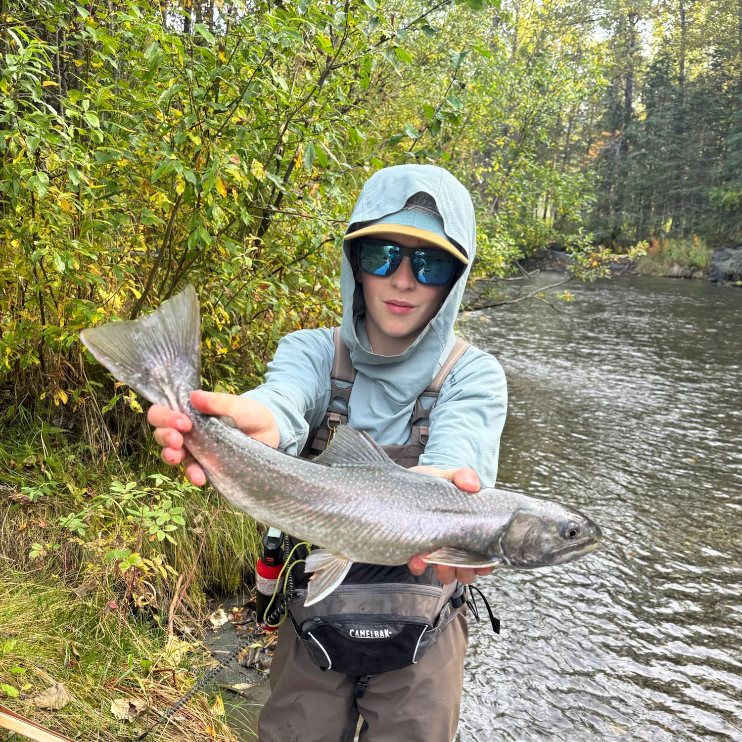 The most recent Dolly varden catches on Fishbrain