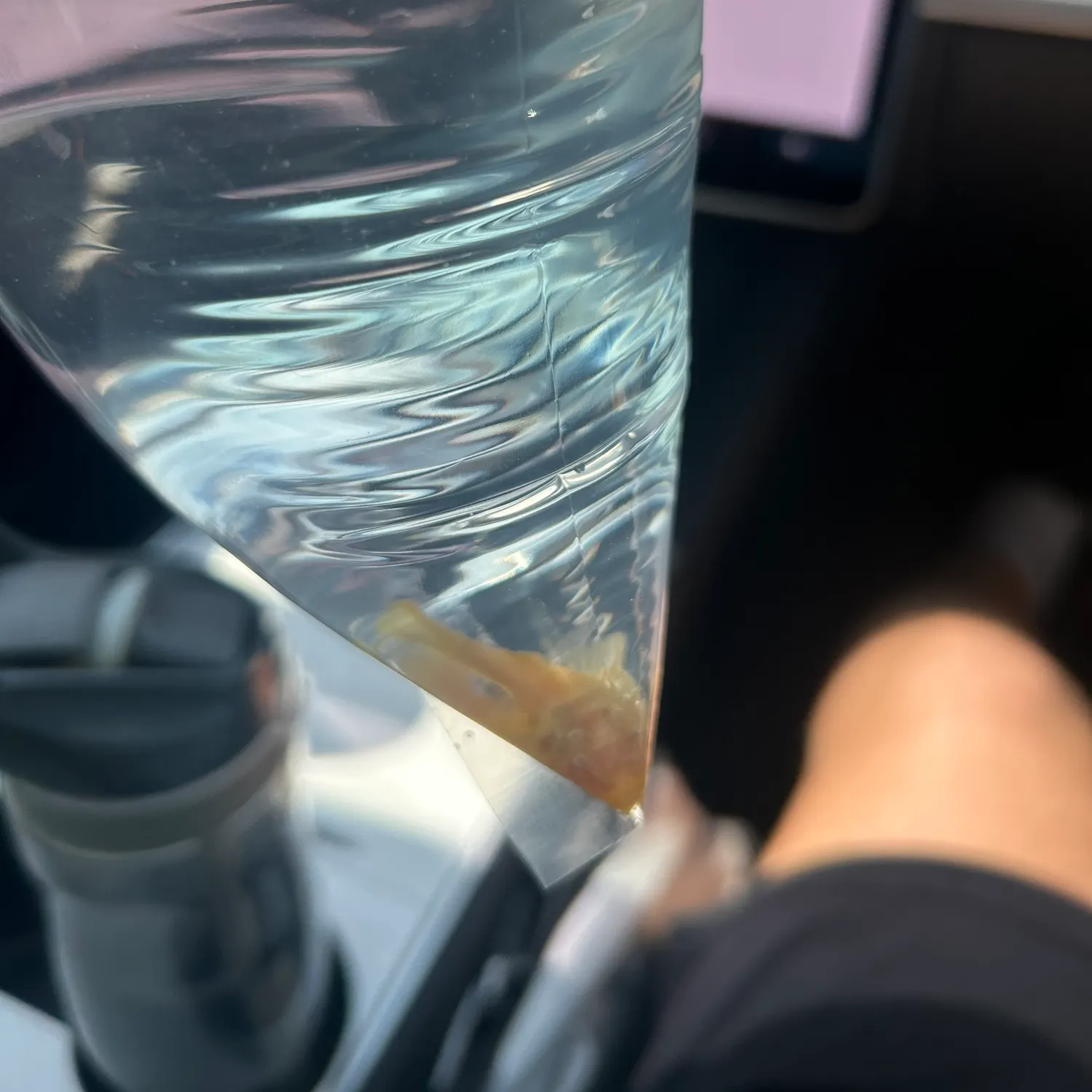 The most recent Snow Pleco catches on Fishbrain