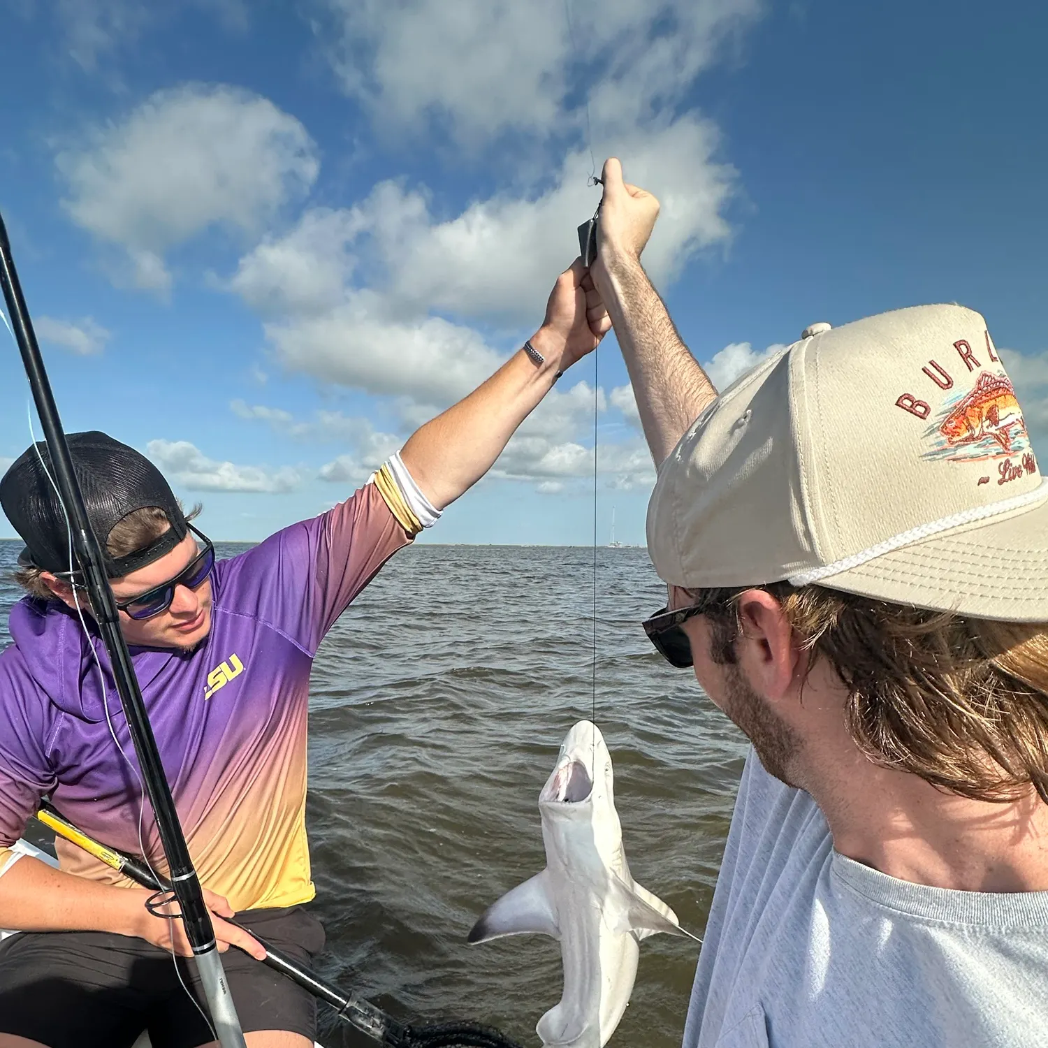 The most recent Spinner shark catches on Fishbrain