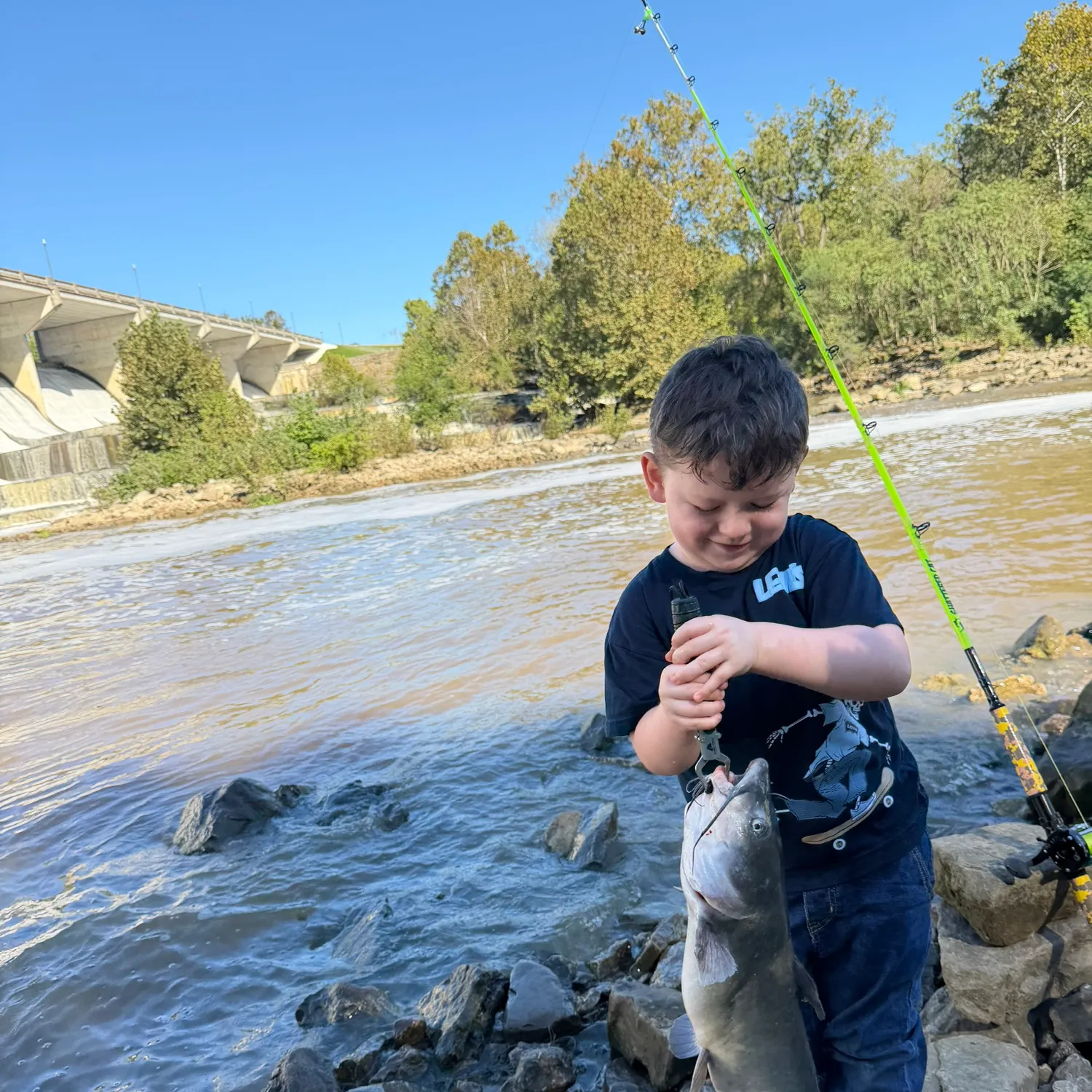 Channel catfish caught on Fishbrain