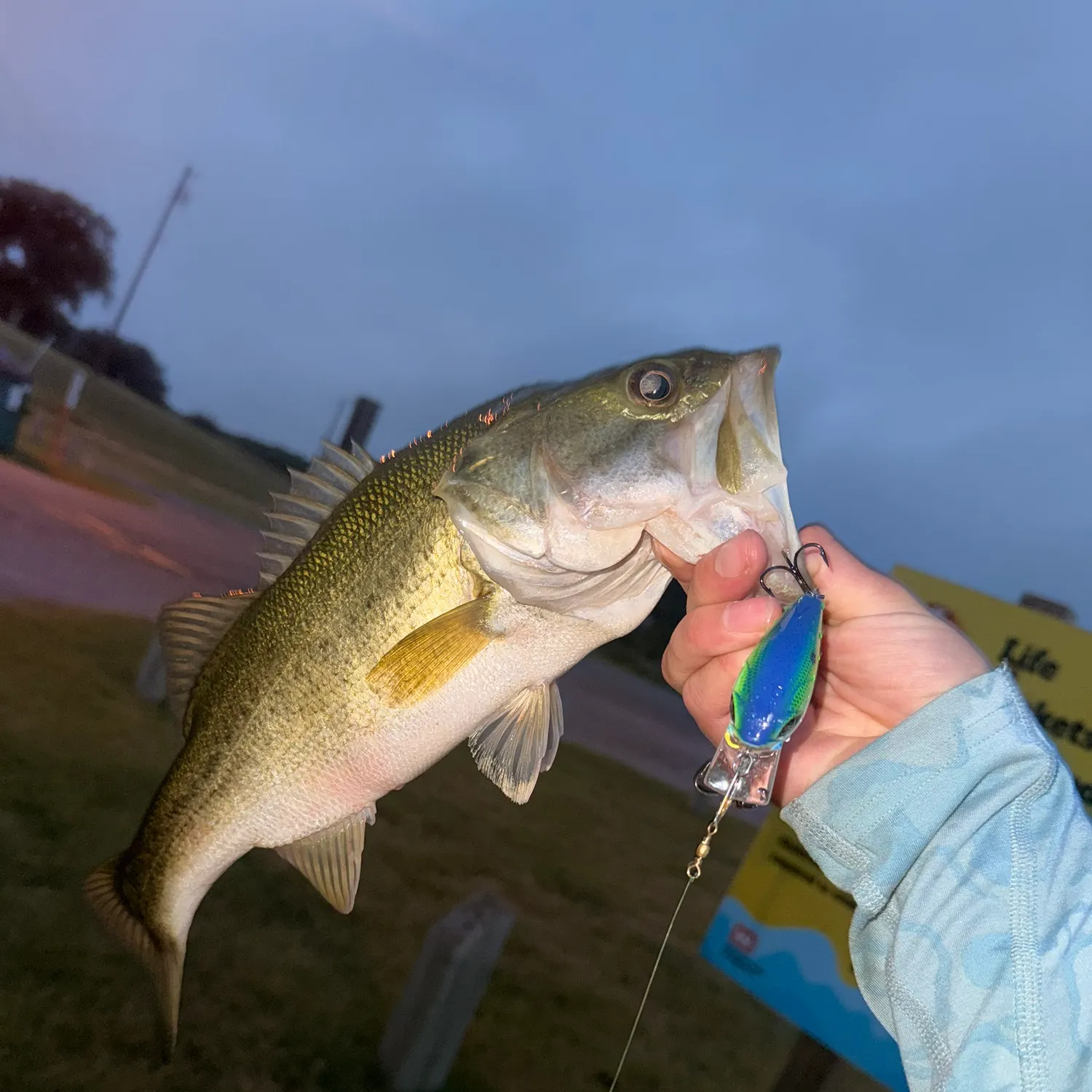 catch