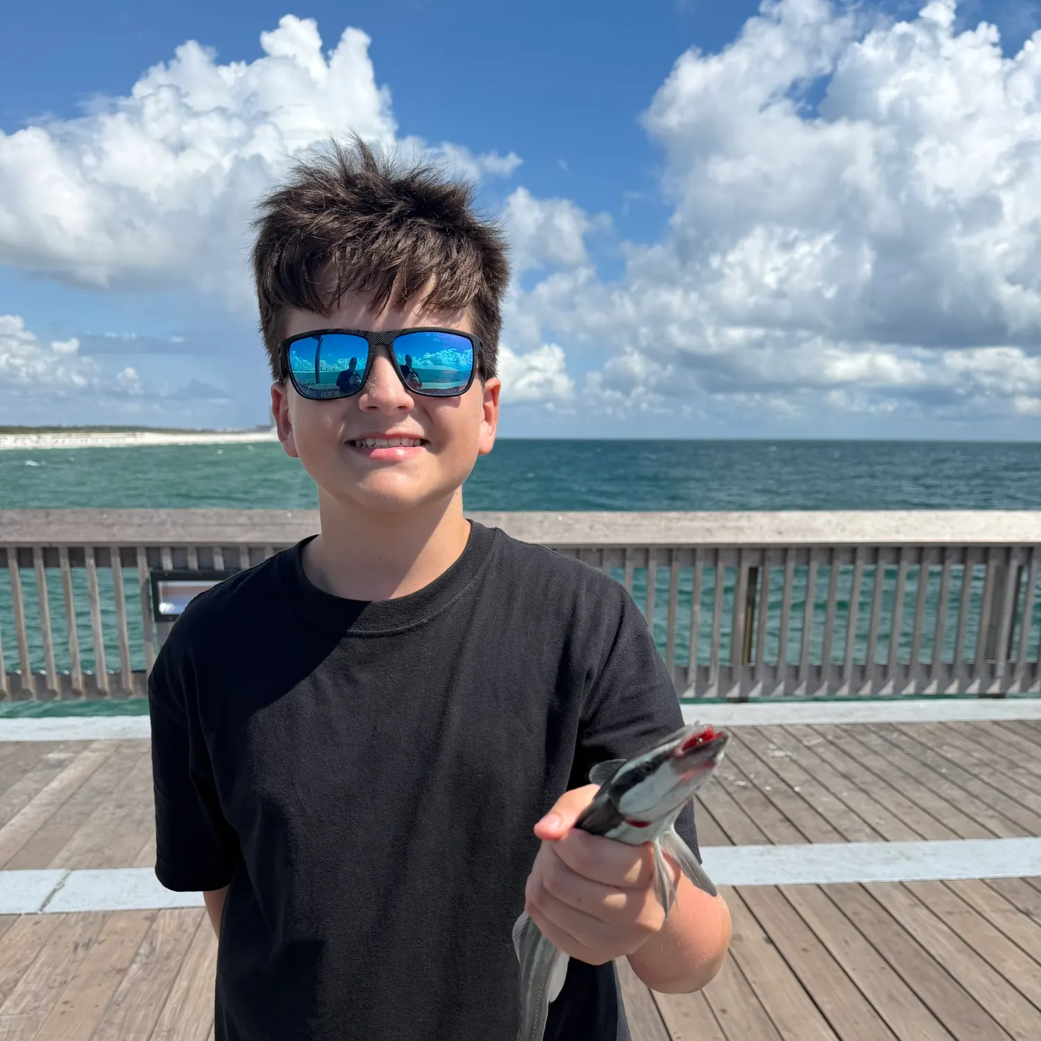 Hardhead sea catfish caught on Fishbrain