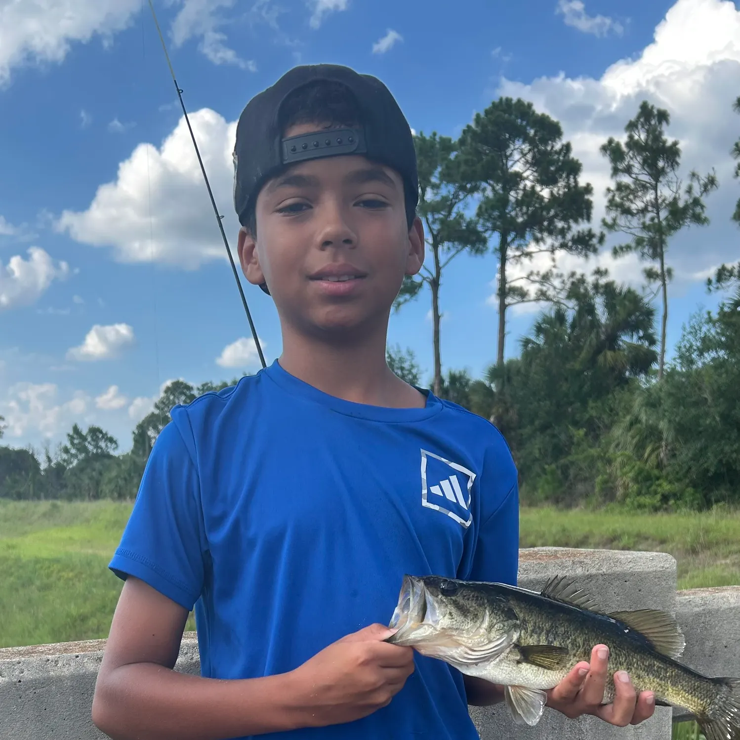 The most recent Largemouth bass catches on Fishbrain