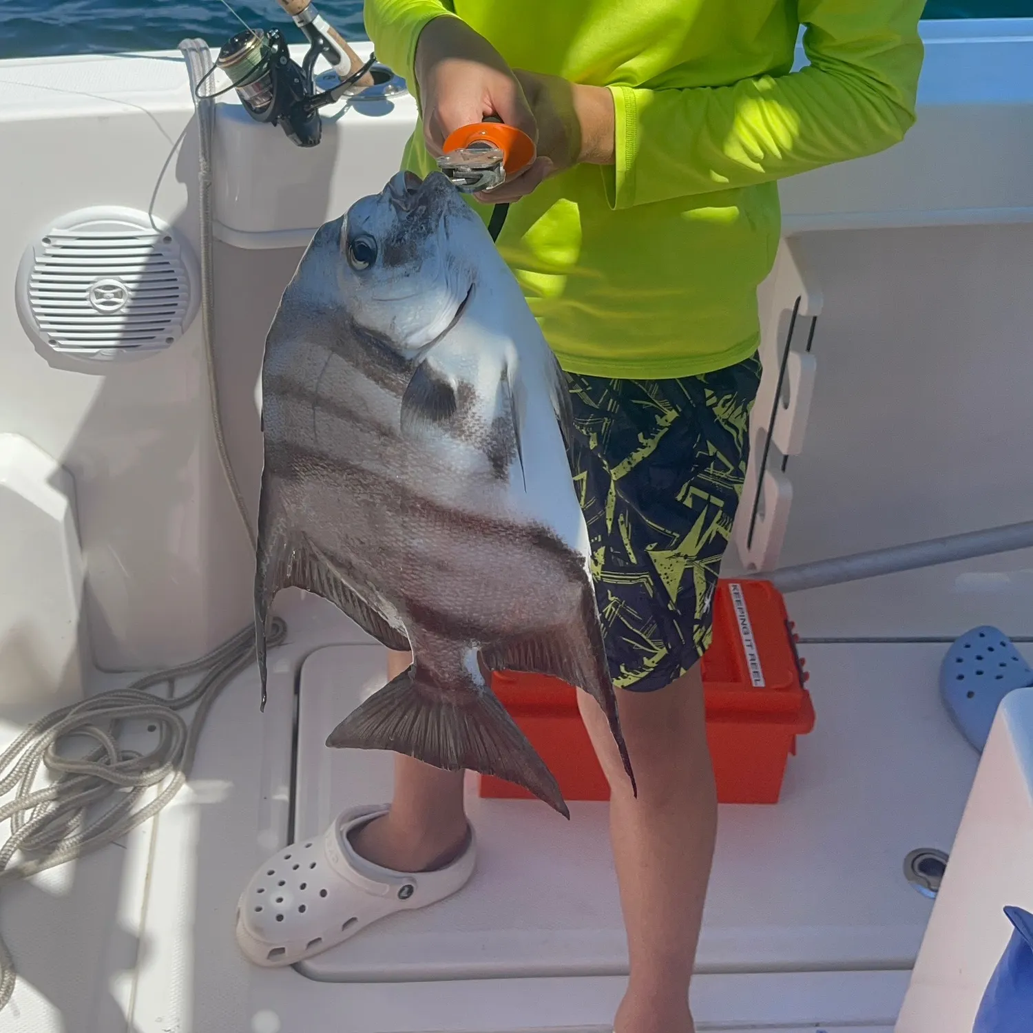 The most recent Atlantic spadefish catches on Fishbrain