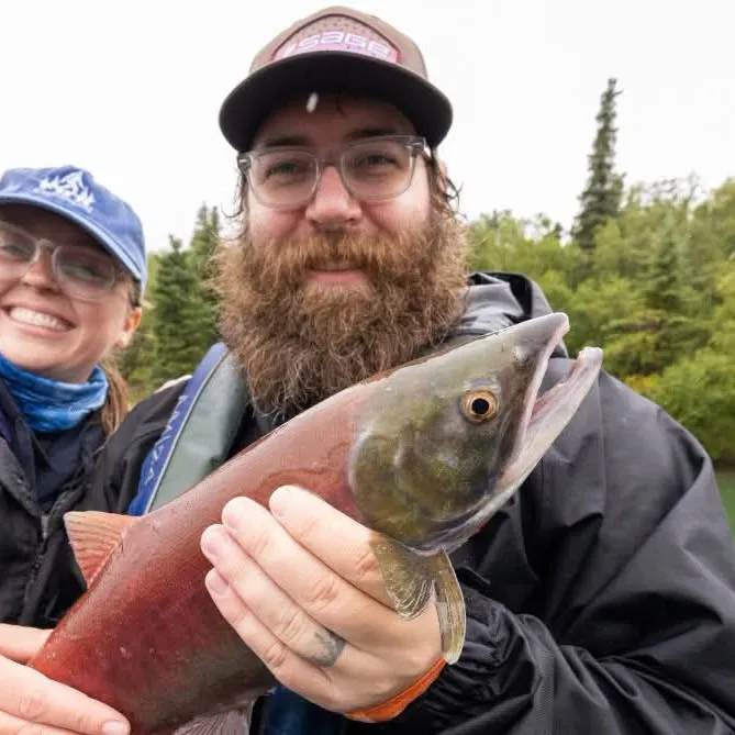 Sockeye salmon caught on Fishbrain