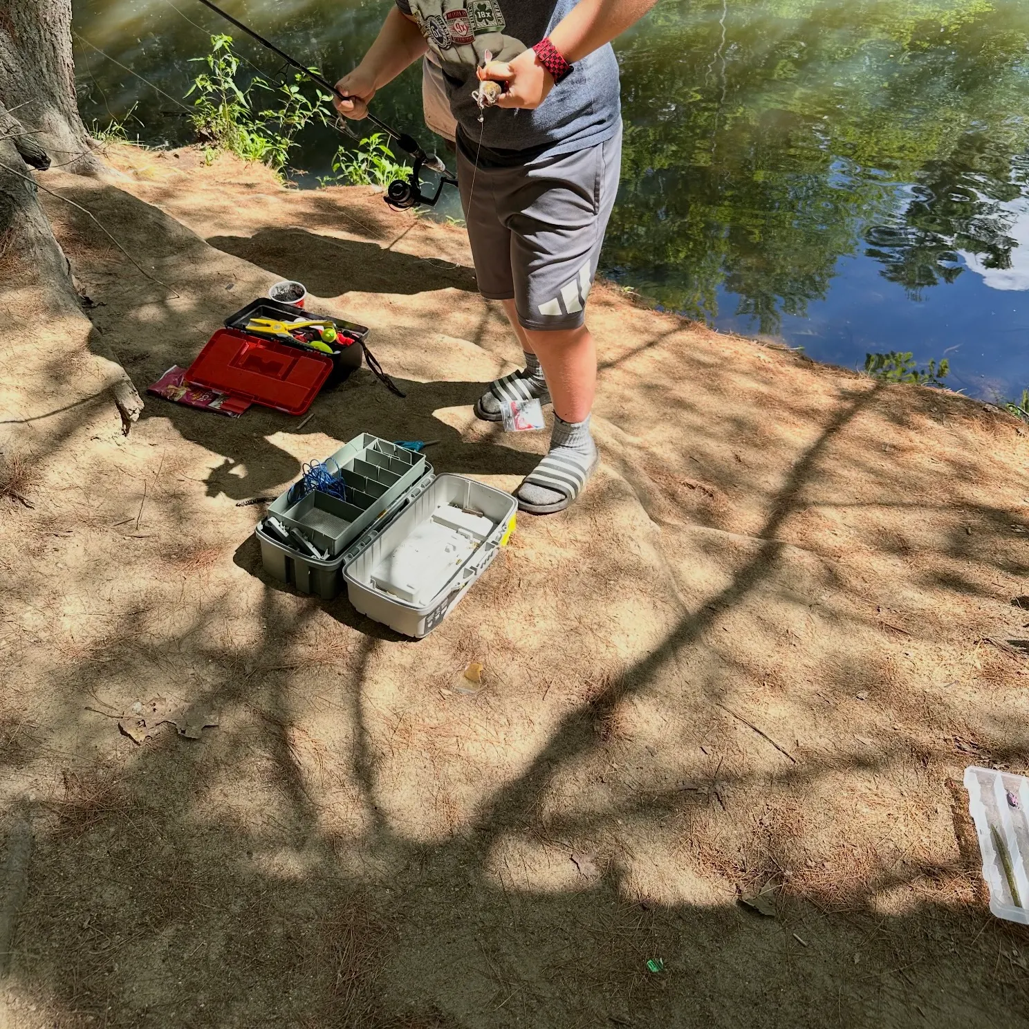 Brook trout caught on Fishbrain