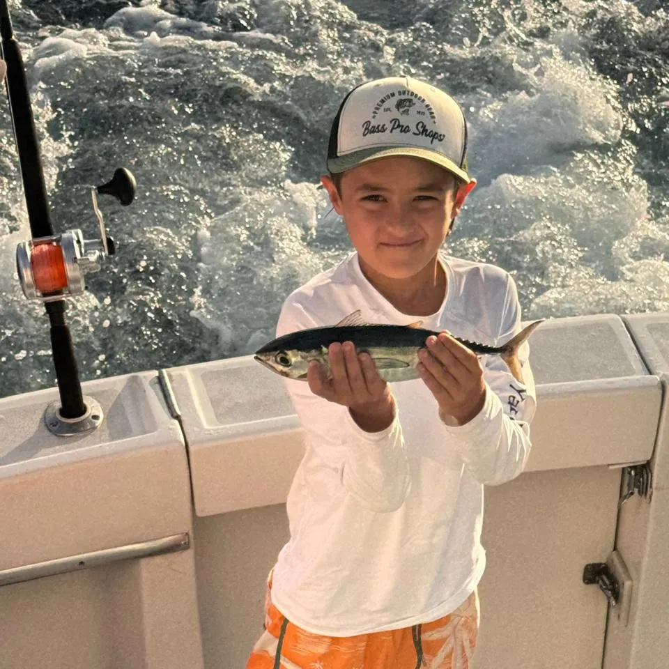 Blackfin tuna caught on Fishbrain