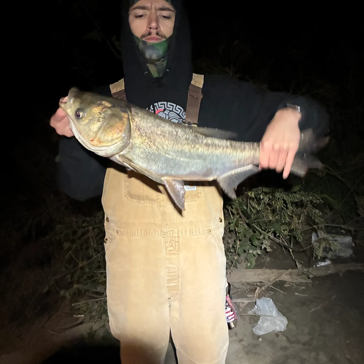 Bighead carp caught on Fishbrain