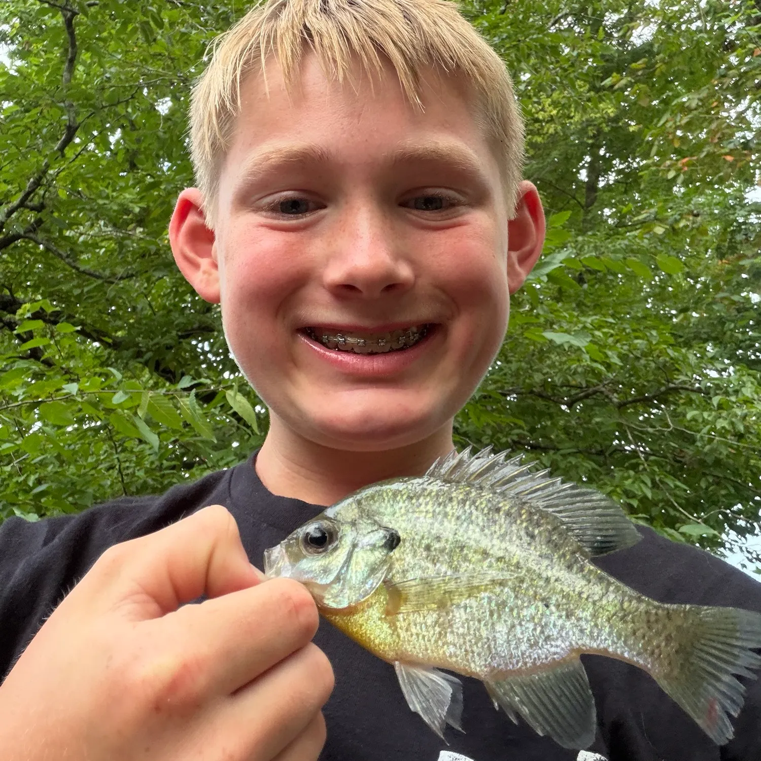 Green sunfish caught on Fishbrain