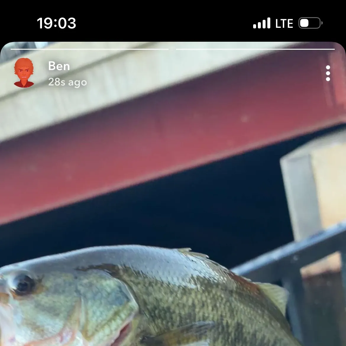 Largemouth bass caught on Fishbrain