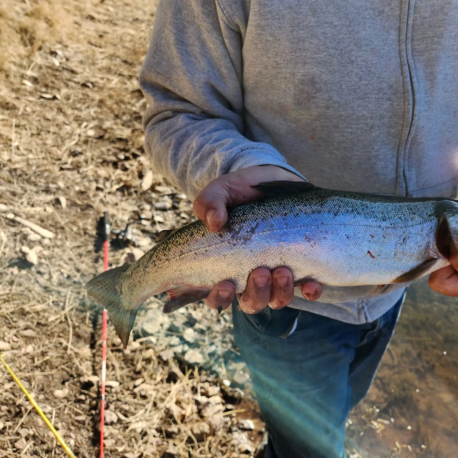 angler catch