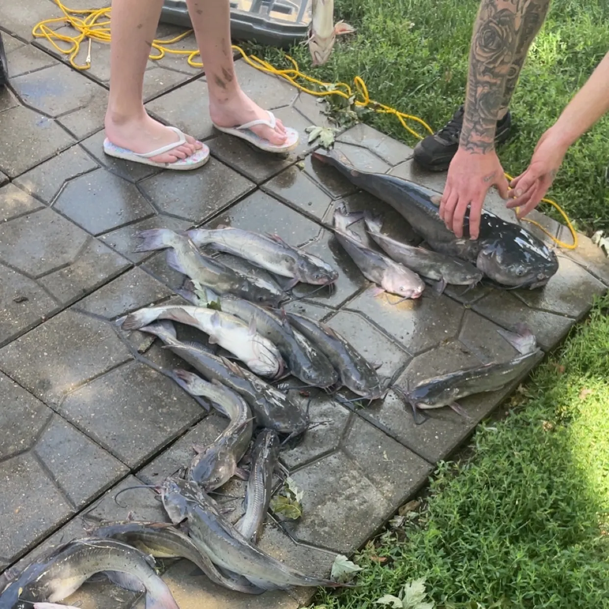 catch