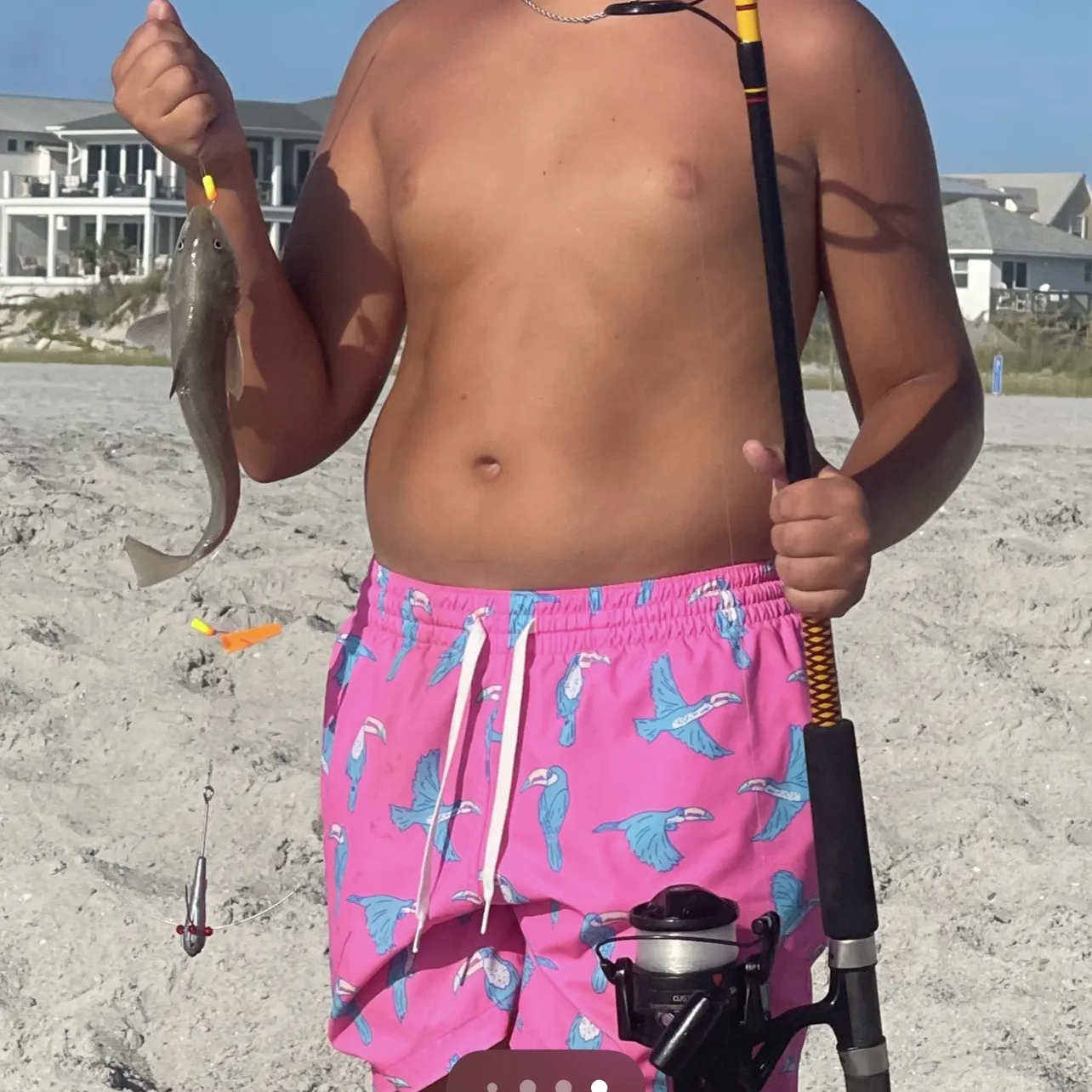 The most recent Blue whiting catches on Fishbrain