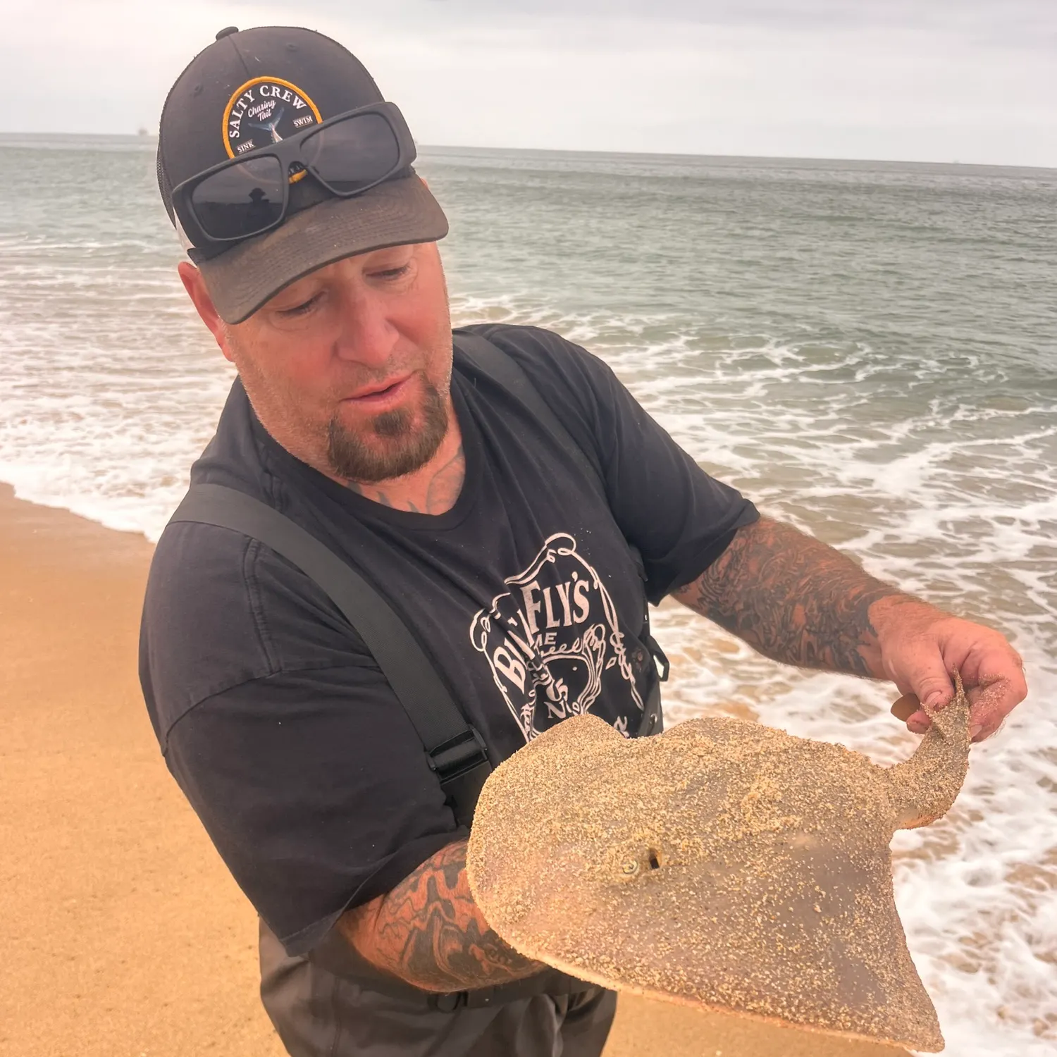 Thornback guitarfish caught on Fishbrain