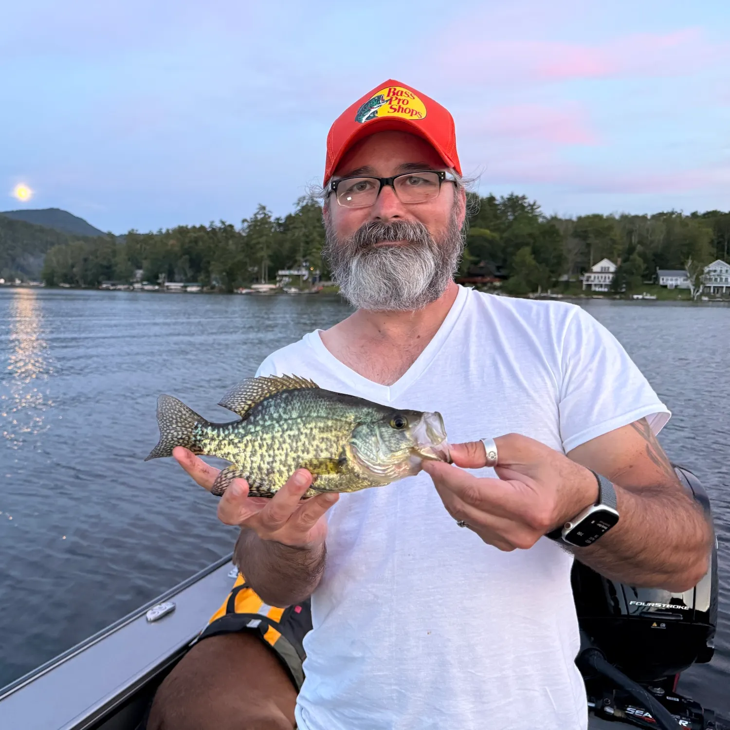Black crappie caught on Fishbrain