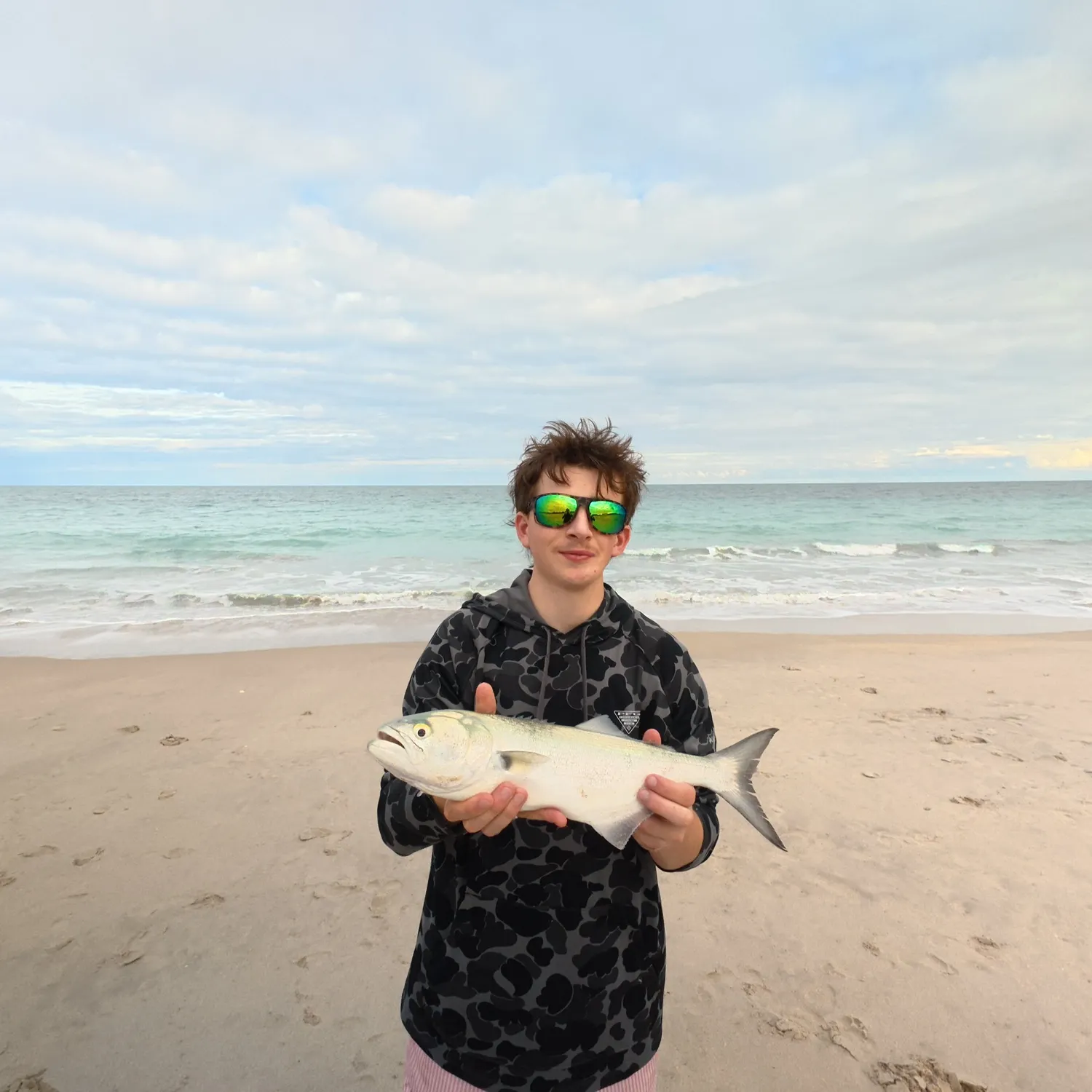 The most recent Bluefish catches on Fishbrain