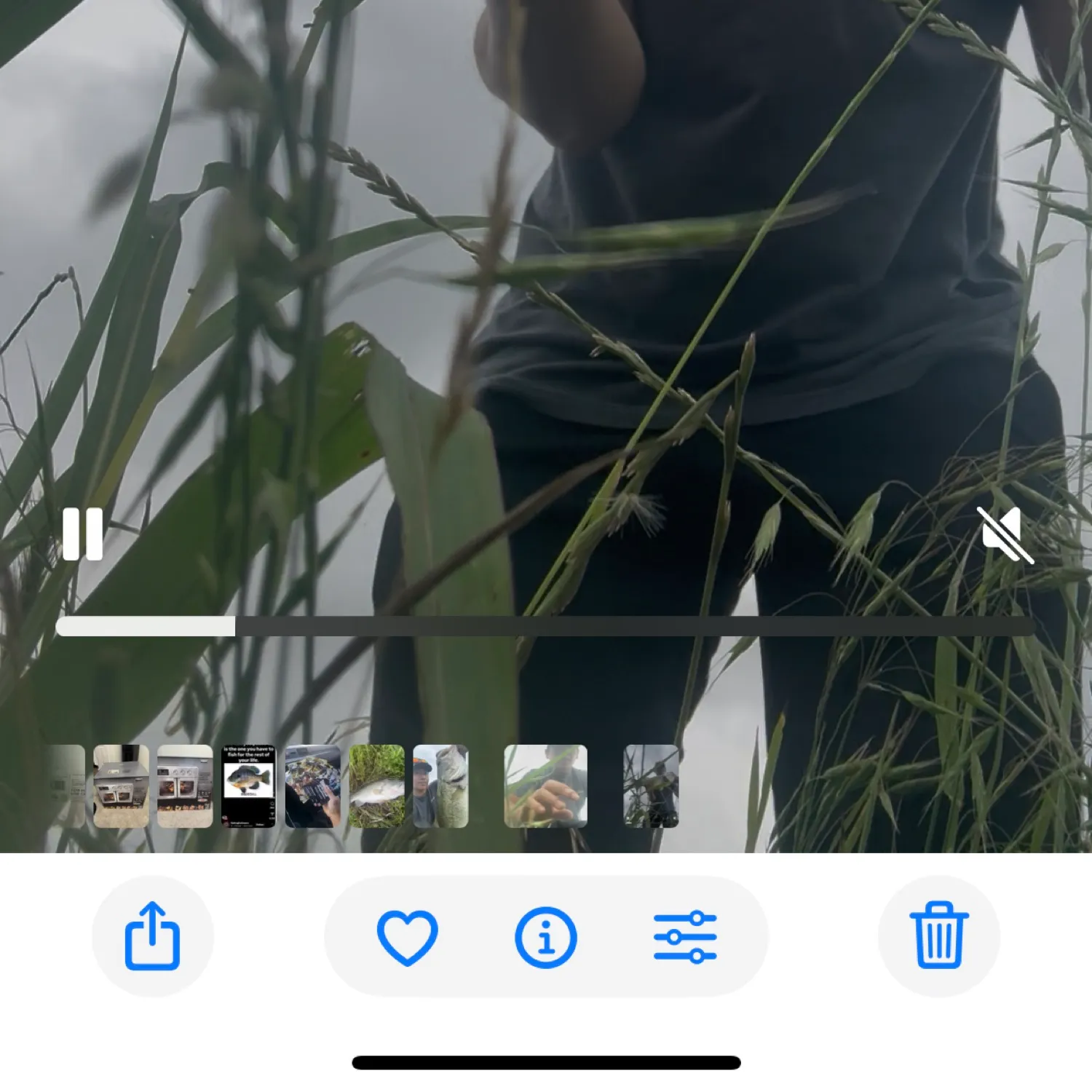 recently logged catches