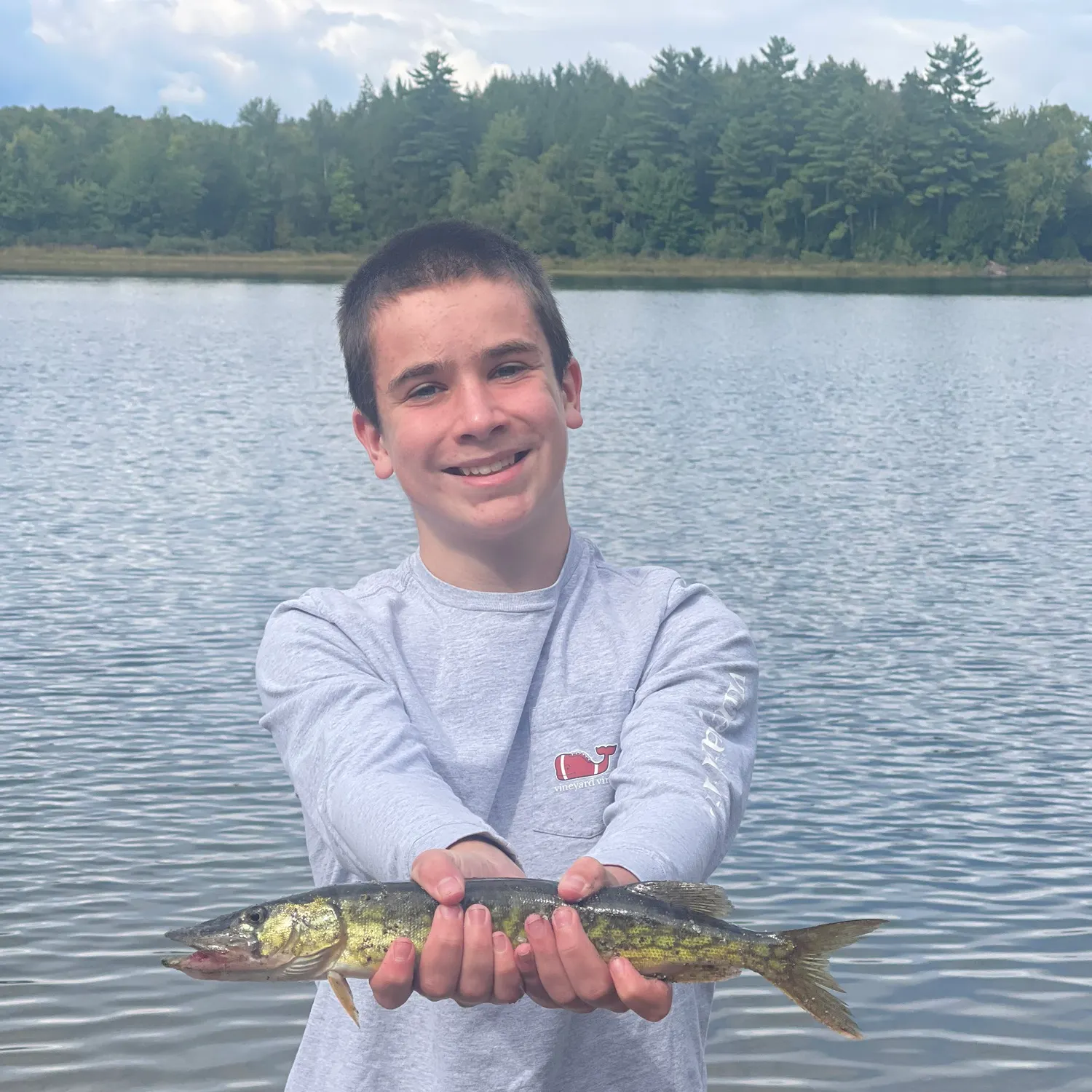 Chain pickerel caught on Fishbrain