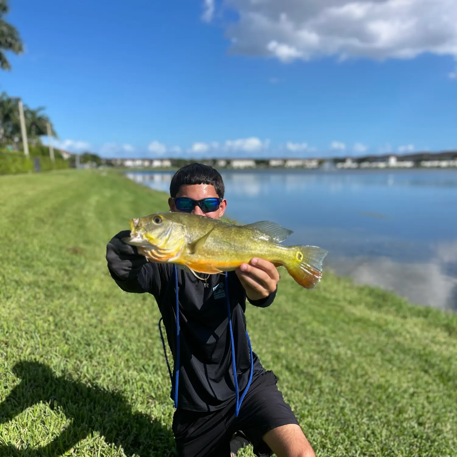 Butterfly peacock bass caught on Fishbrain