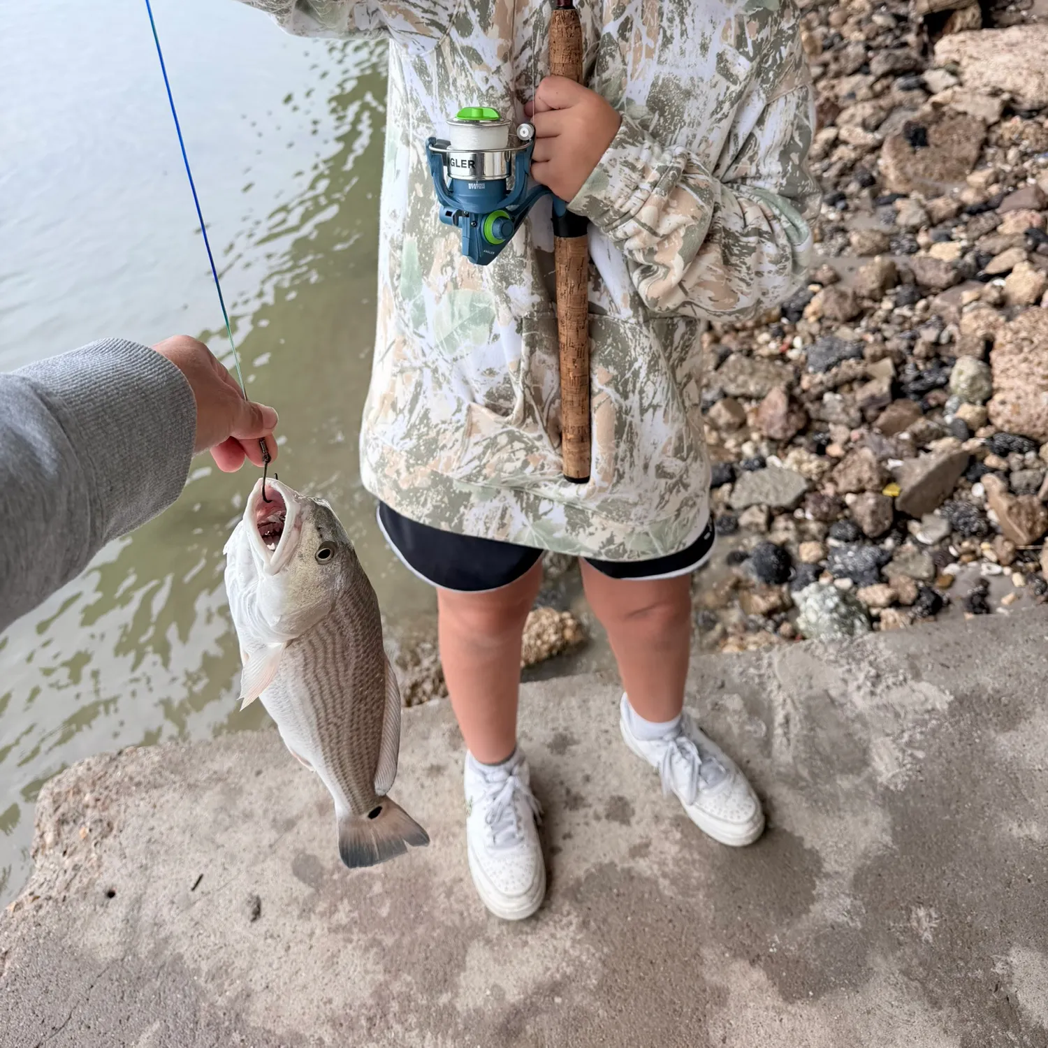 Red drum caught on Fishbrain