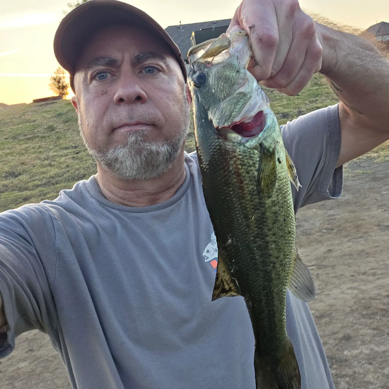 Largemouth bass caught on Fishbrain