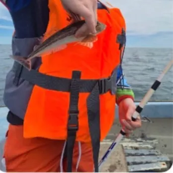 The most recent Red gurnard catches on Fishbrain
